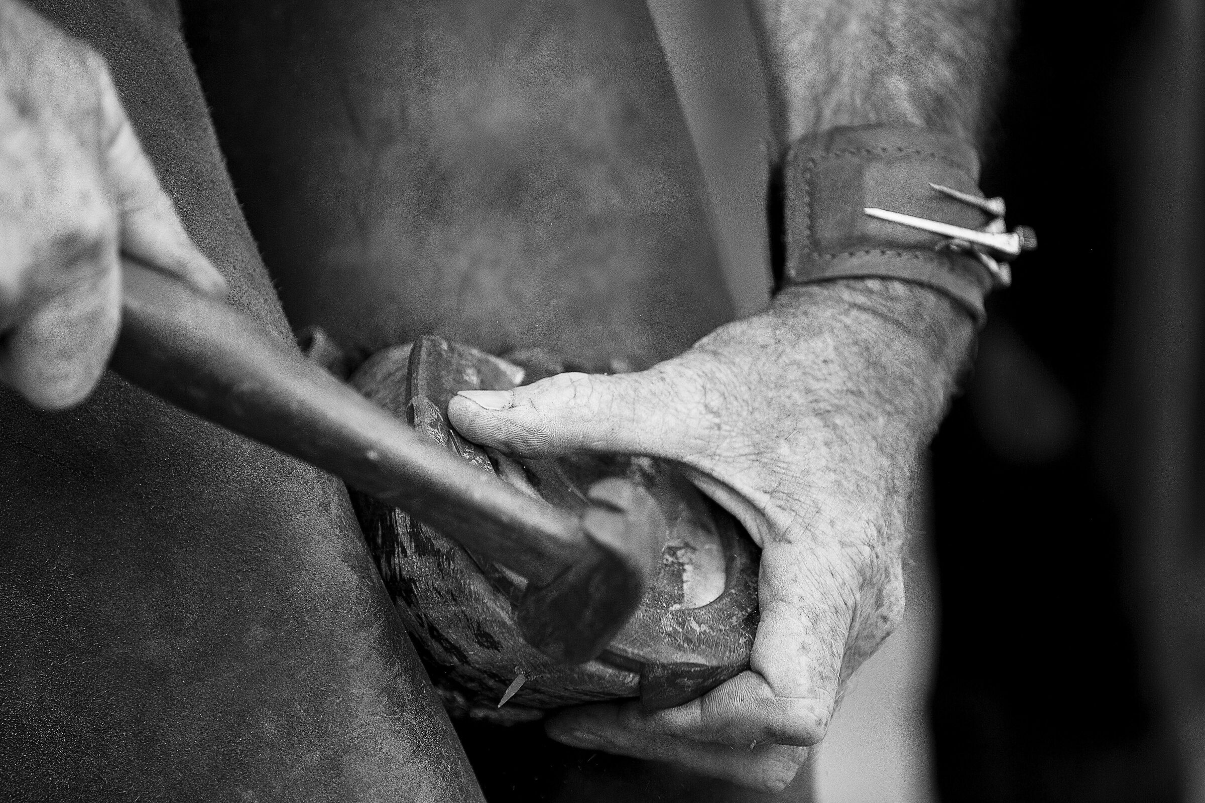 The farrier at work