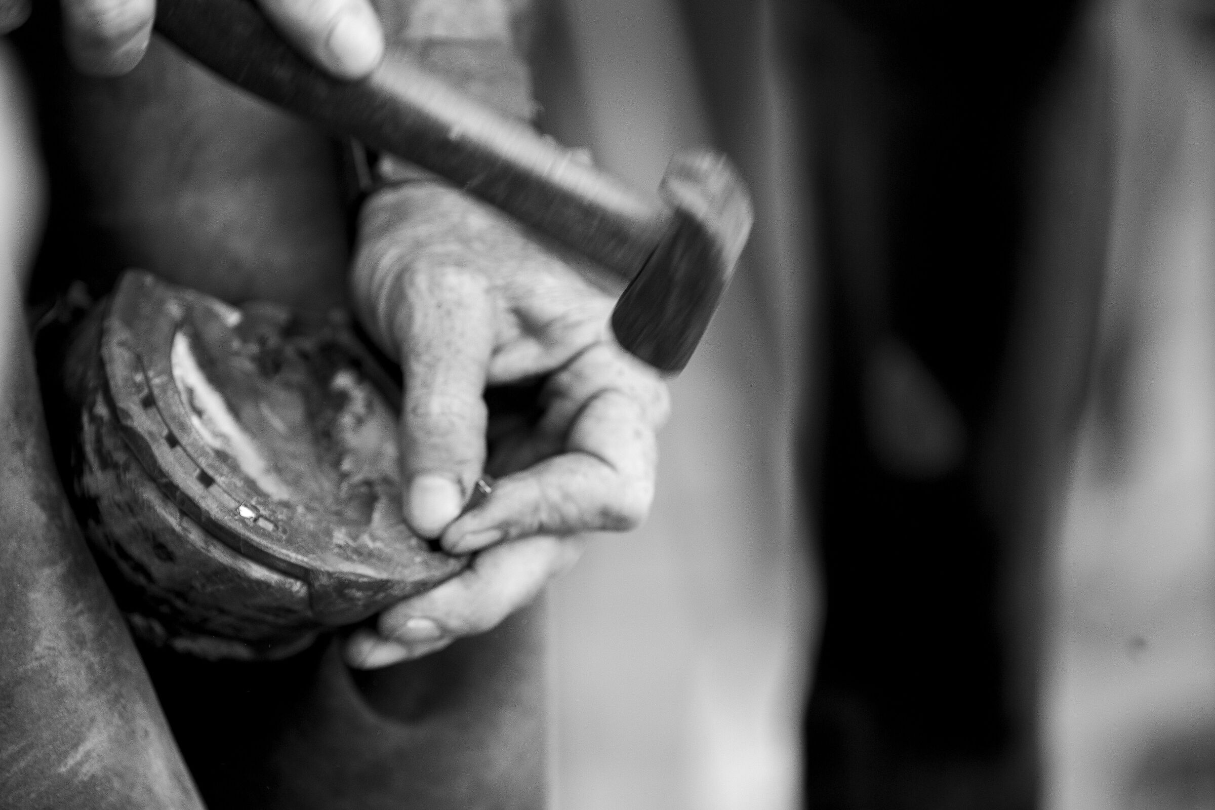 The farrier at work
