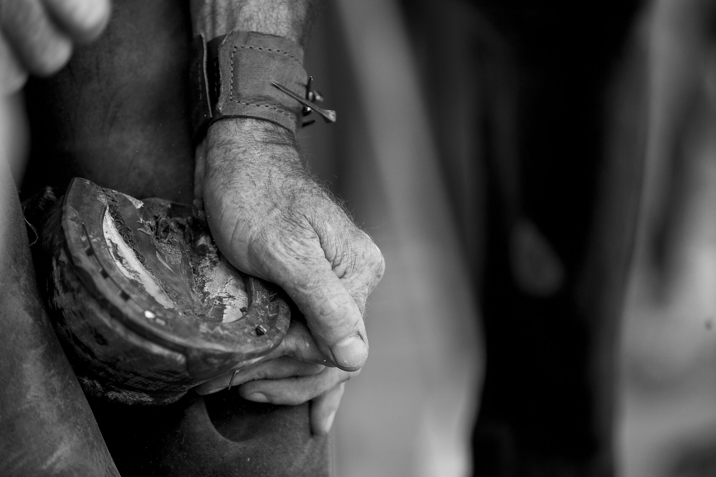 The farrier at work