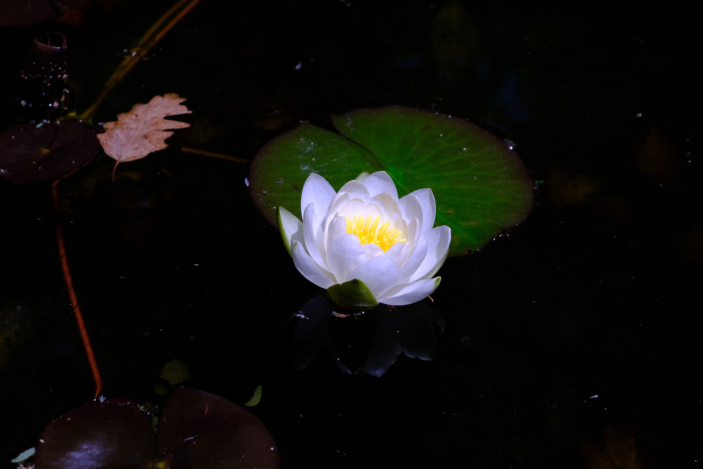 Natural contrast