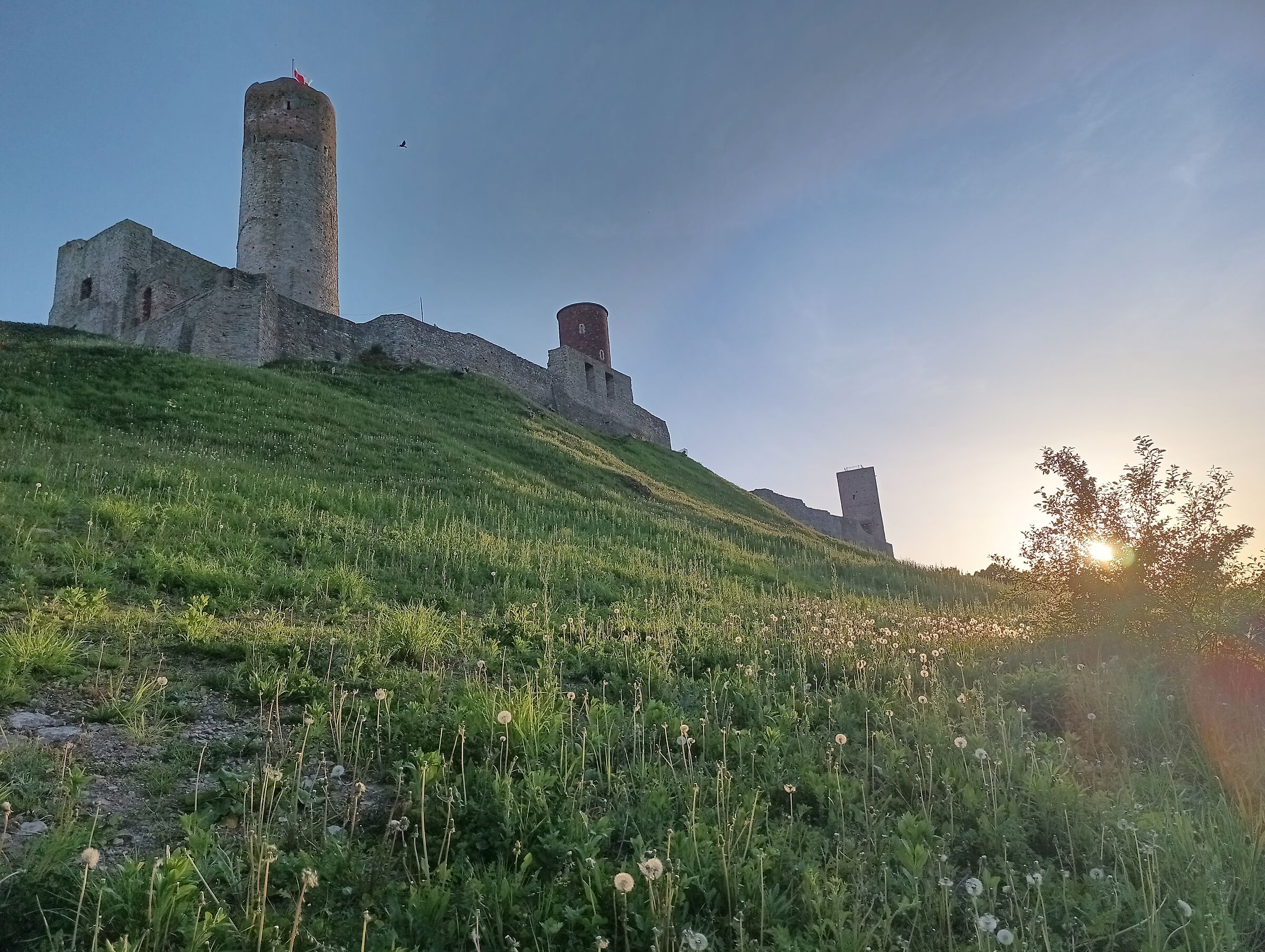 iiiF150 B2 Ultra (Samsung Isocell hp3) 03