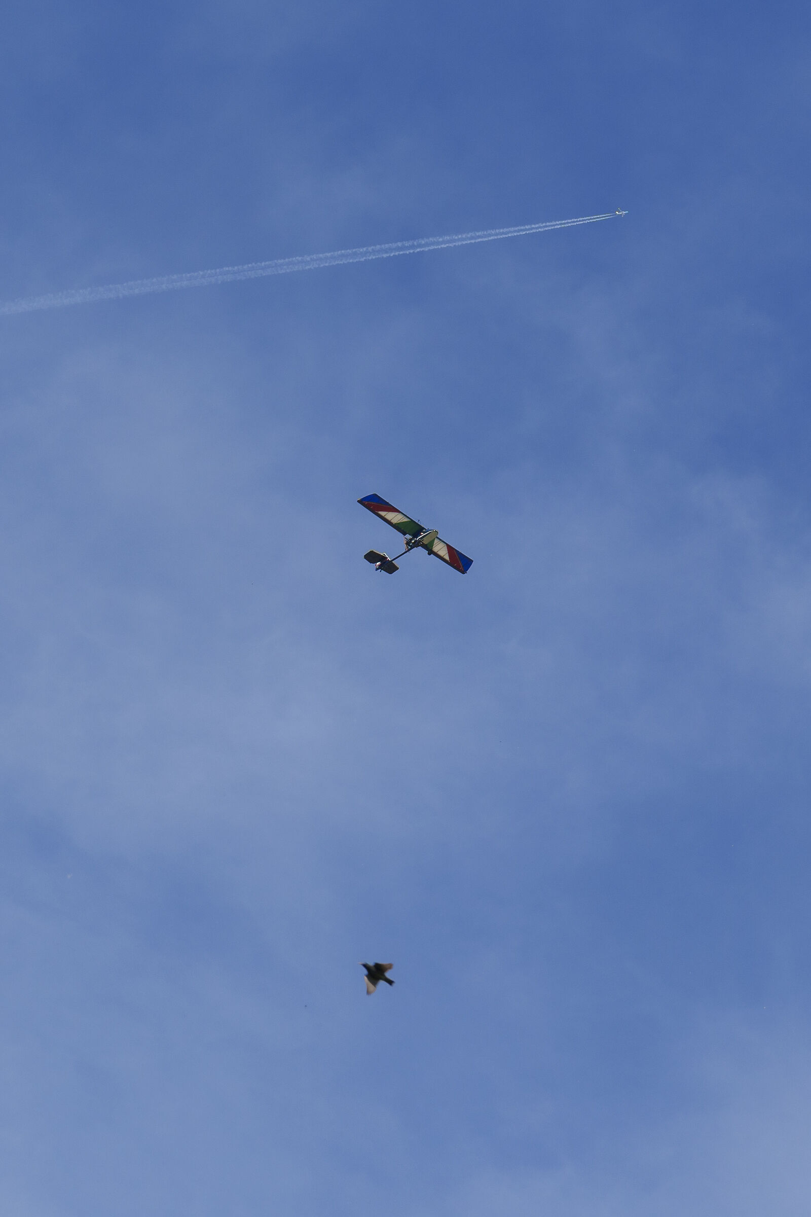 chi vola più in alto?