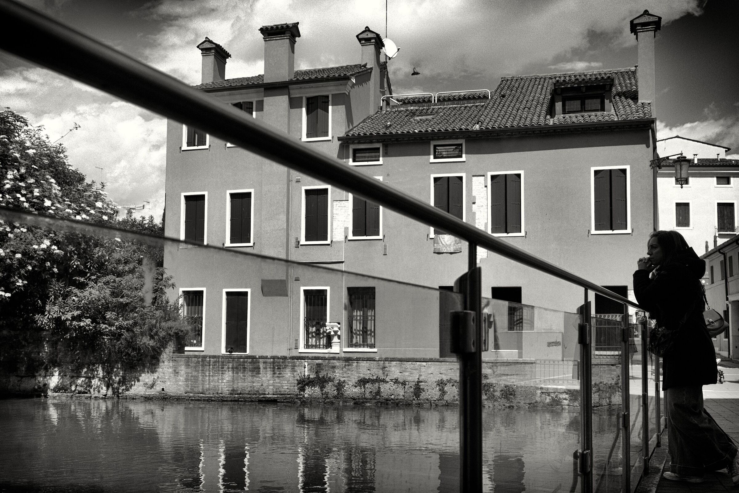 Treviso