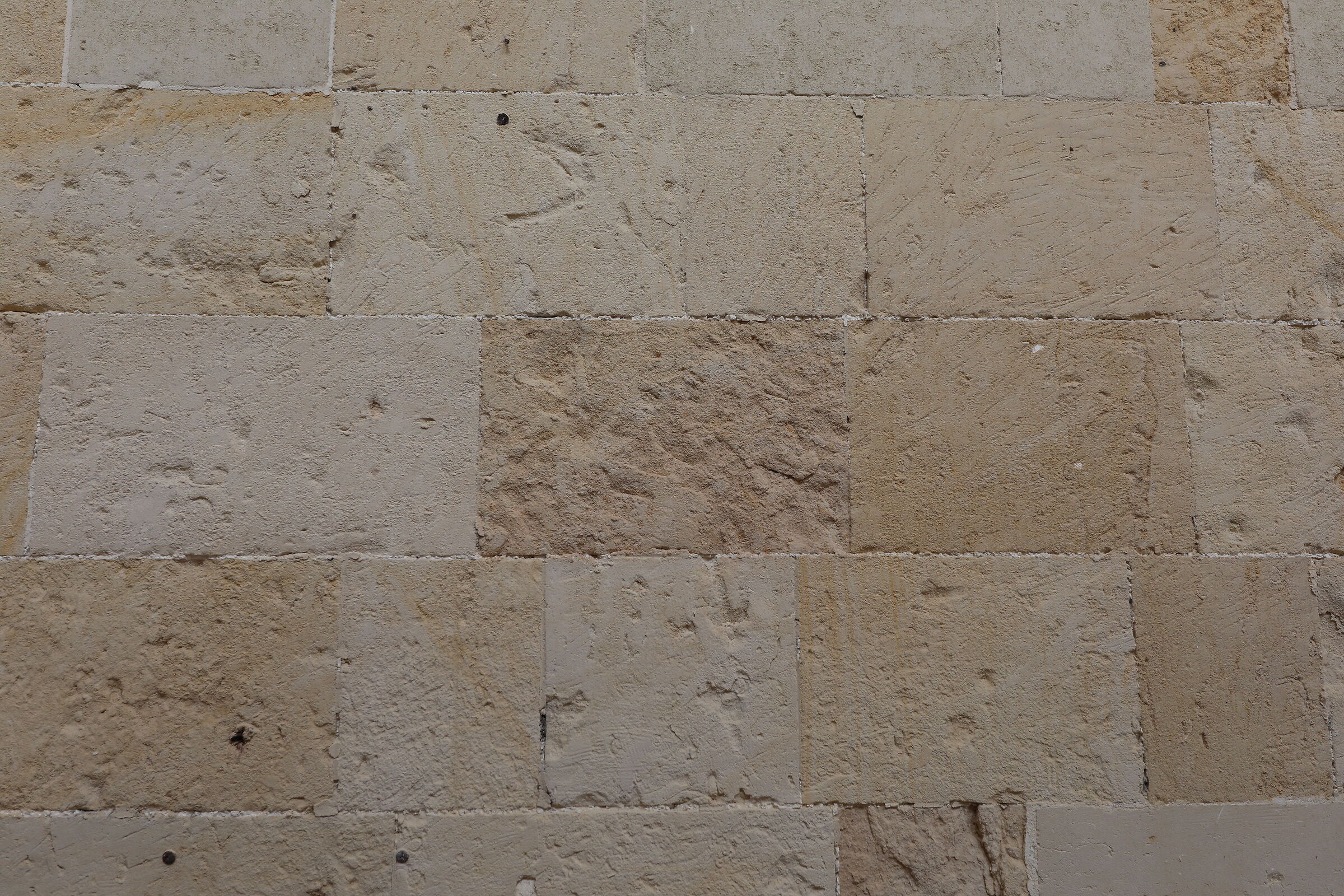 Canon 5 D IV - Sigma 28 1.4 Art