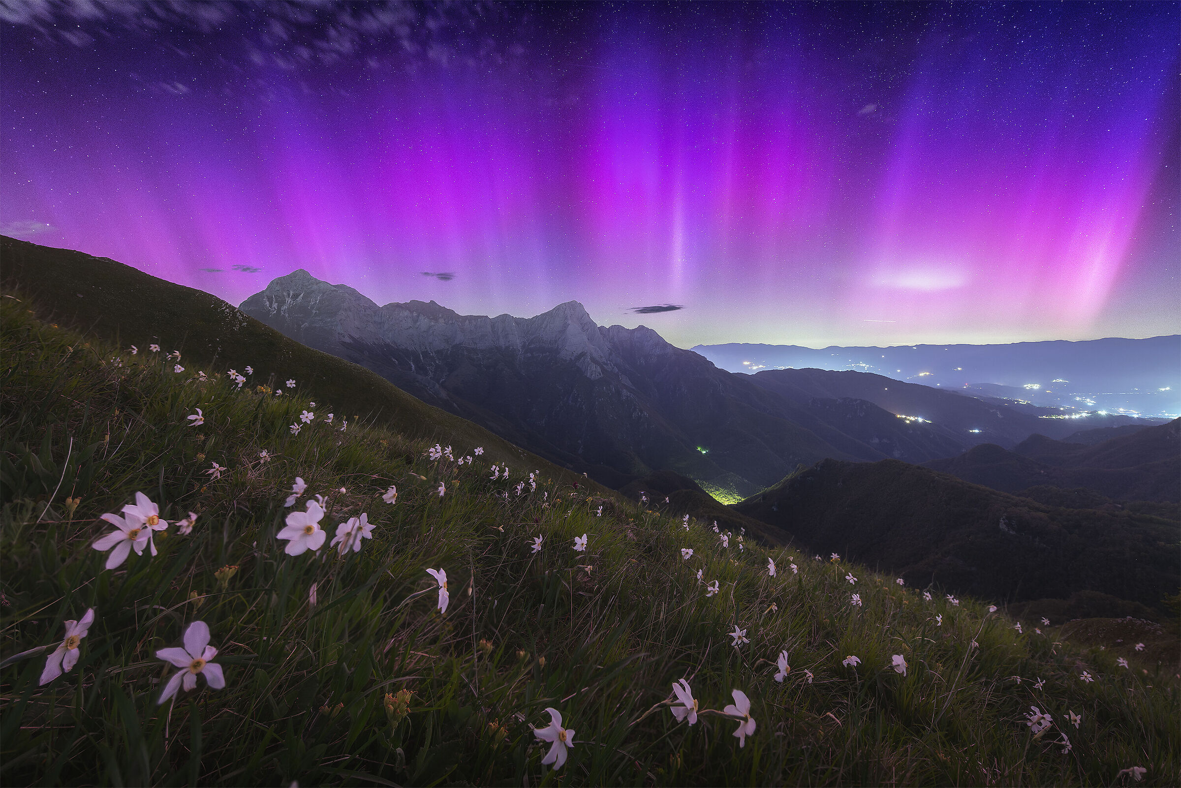 Apuan Alps, Daffodils and Aurora Borealis