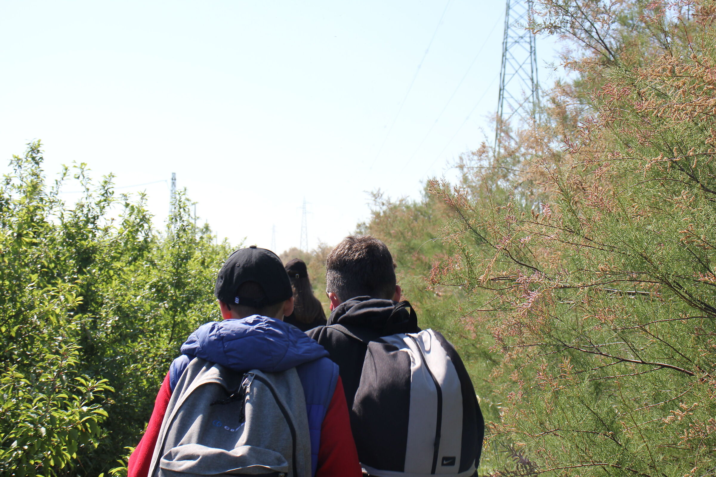 To the salt pan of Cervia