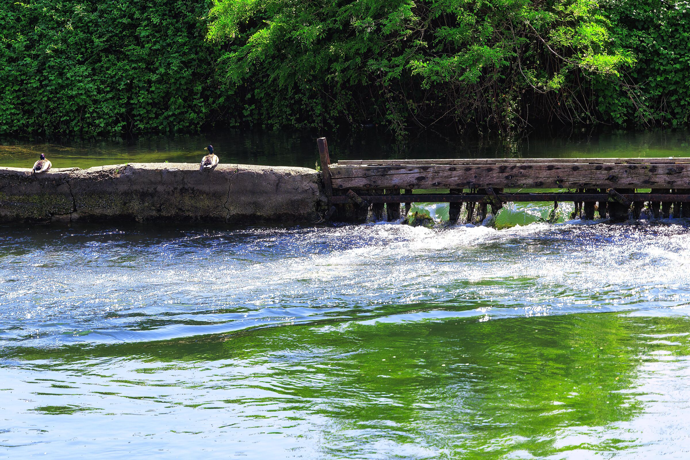 Clear, fresh and sweet waters