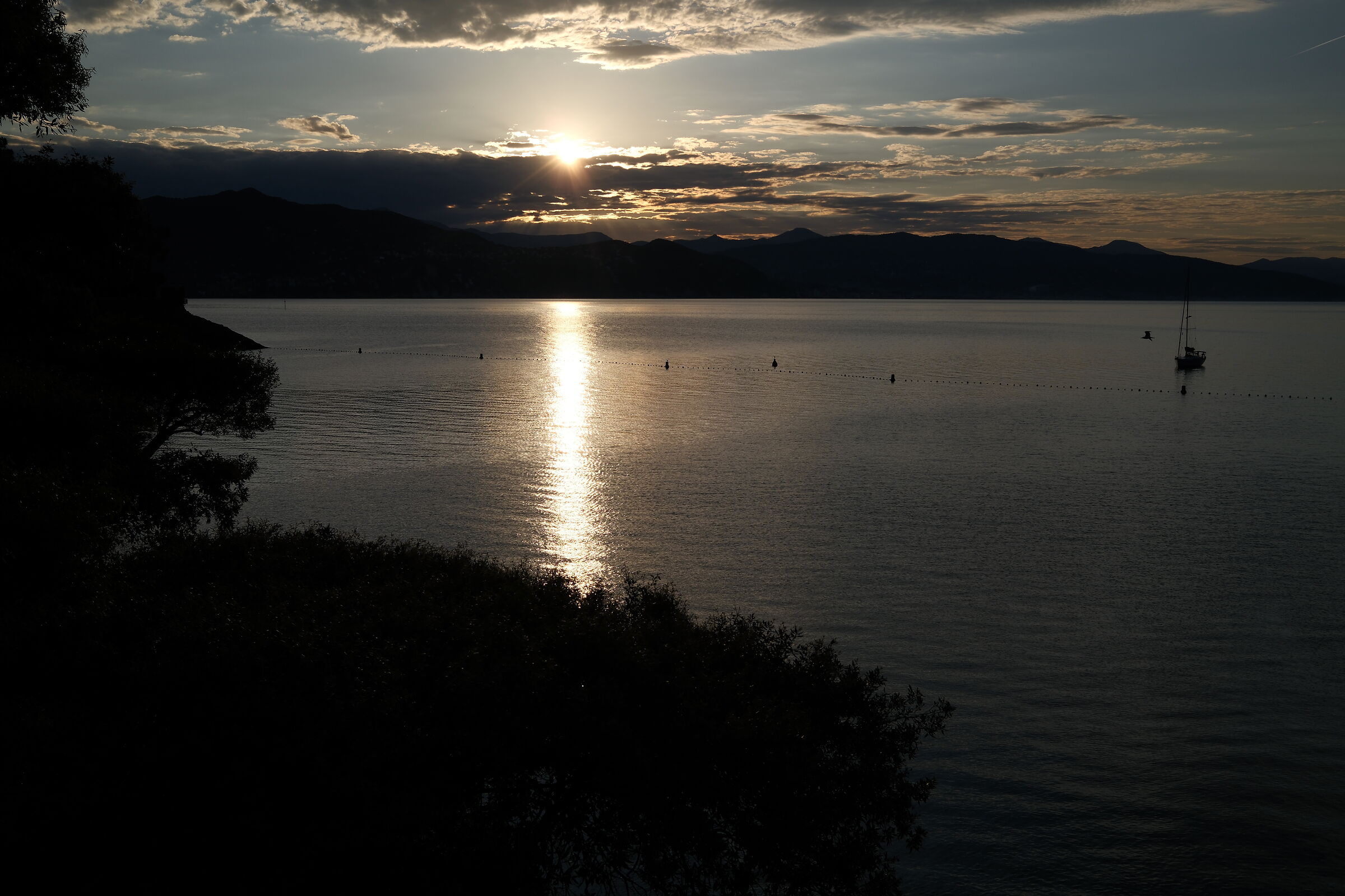 Sunrise in the bay