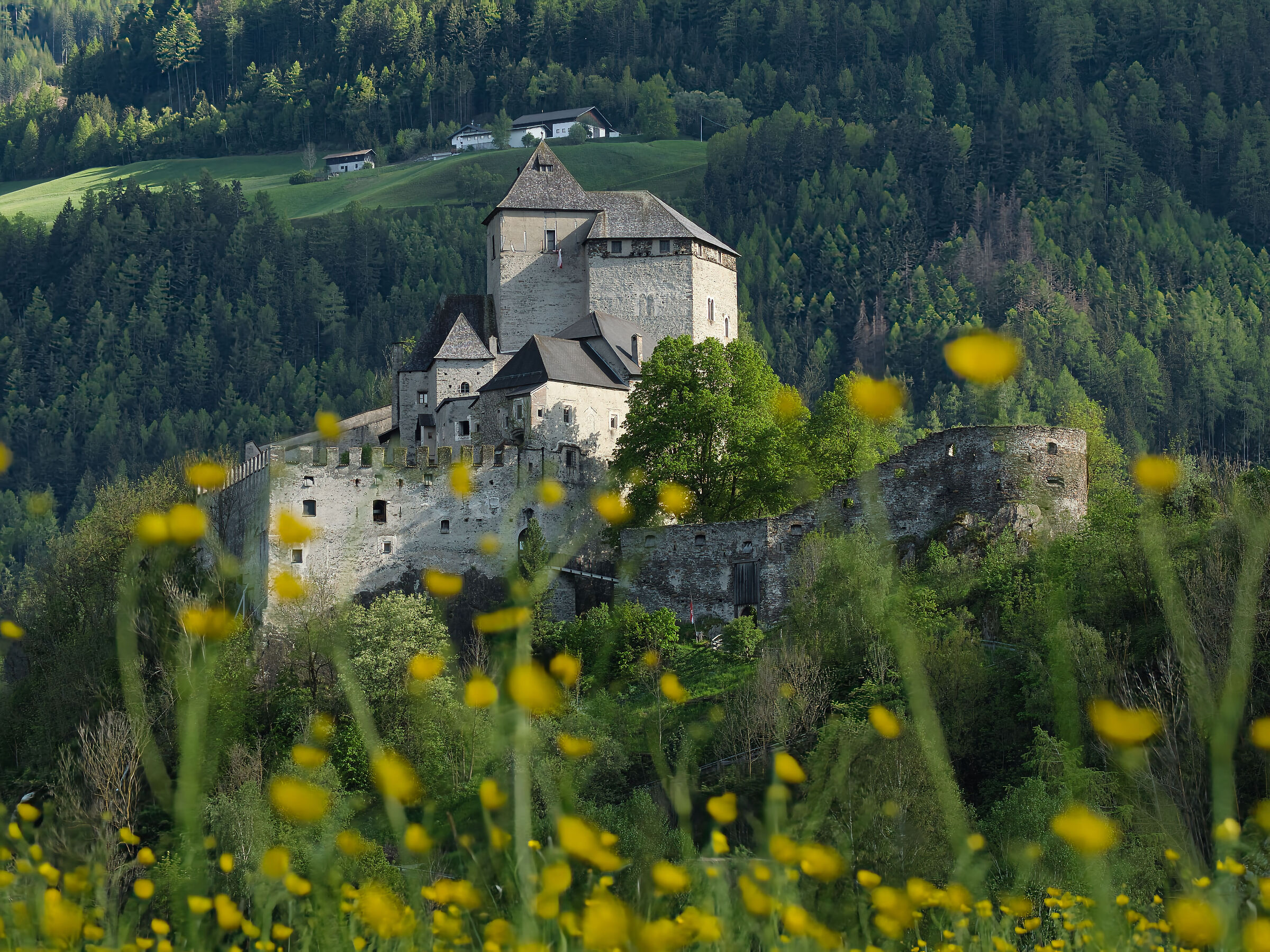 Castel Tasso VIPITENO