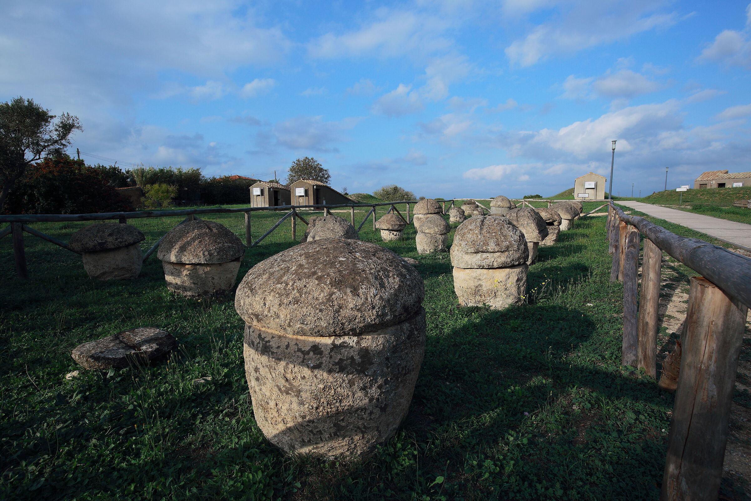 Quegli strani funghi di pietra