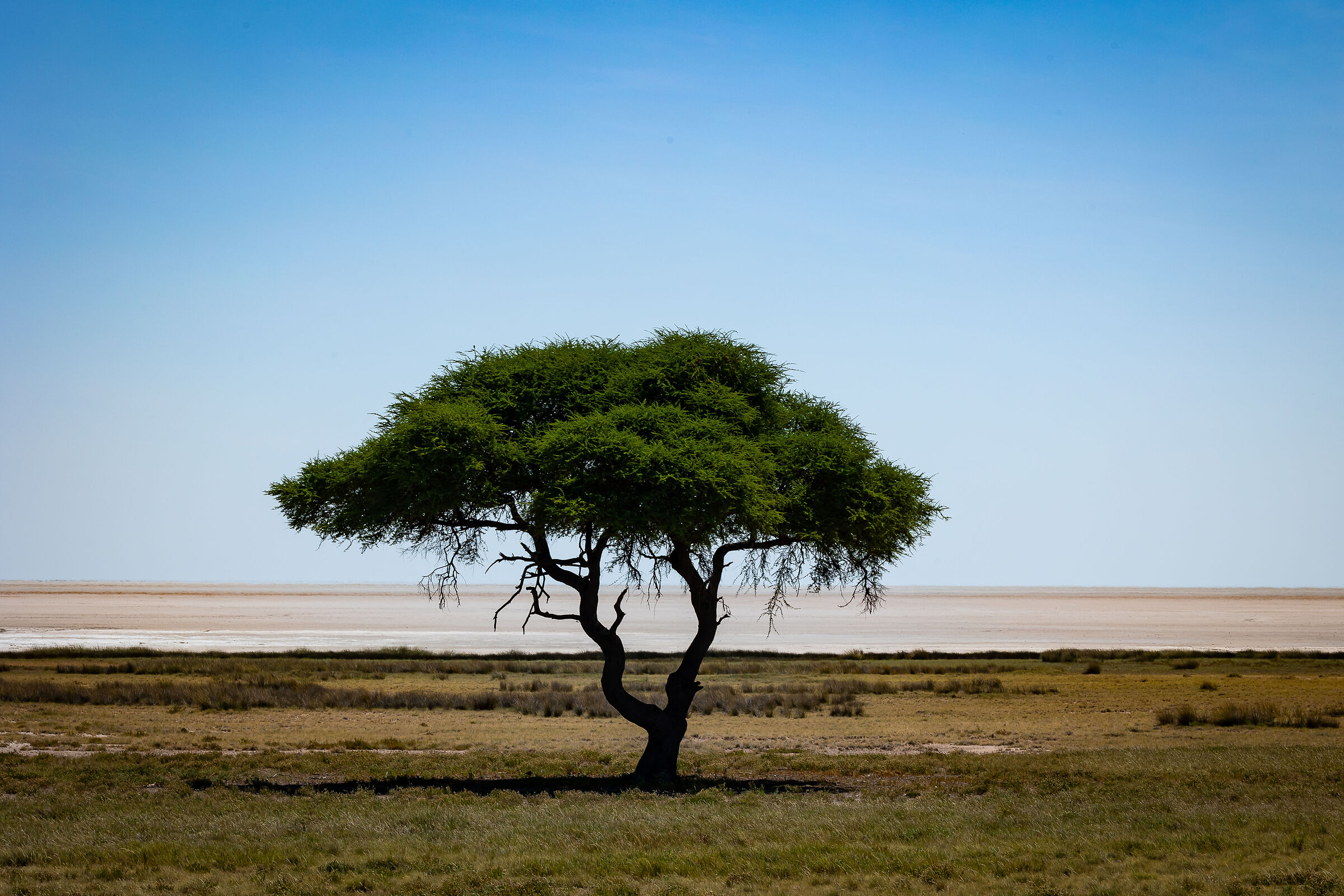 Etosha pan