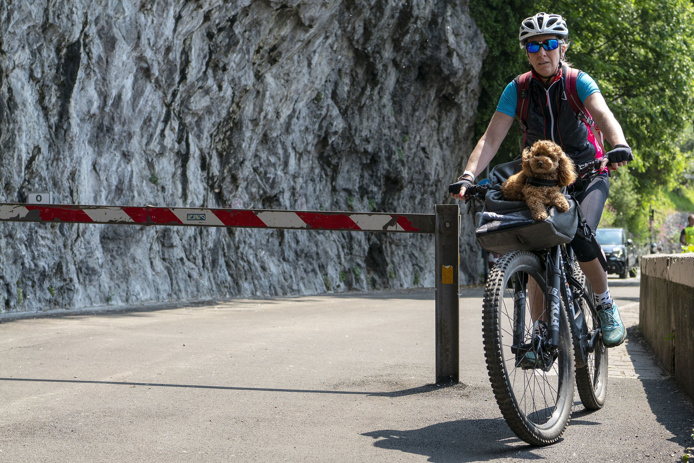 A spasso in compagnia