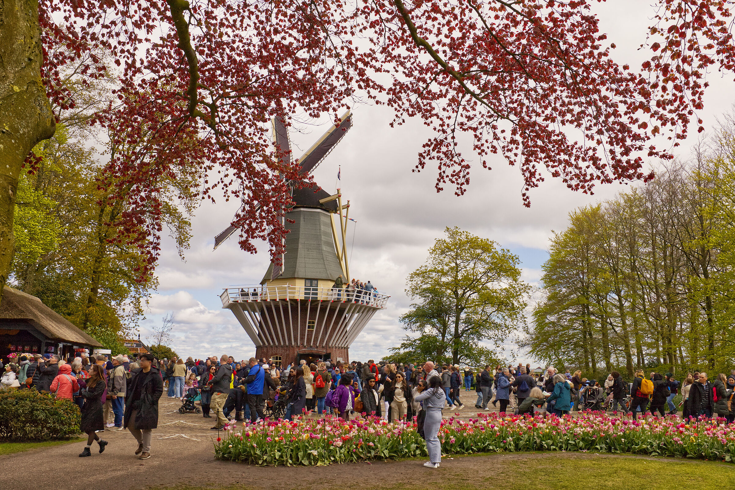 Keukenhof