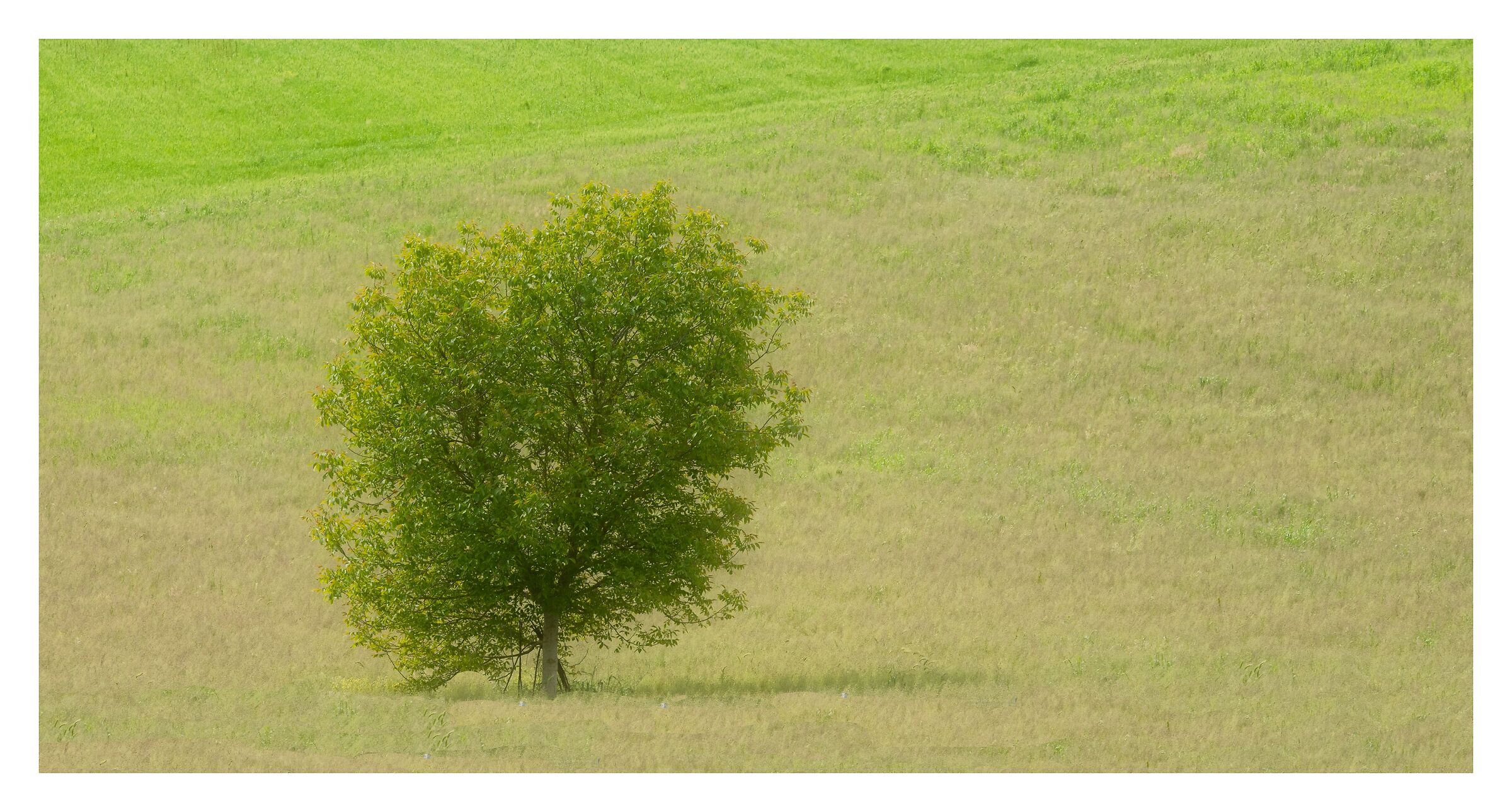 Dove sono andati gli altri.....???