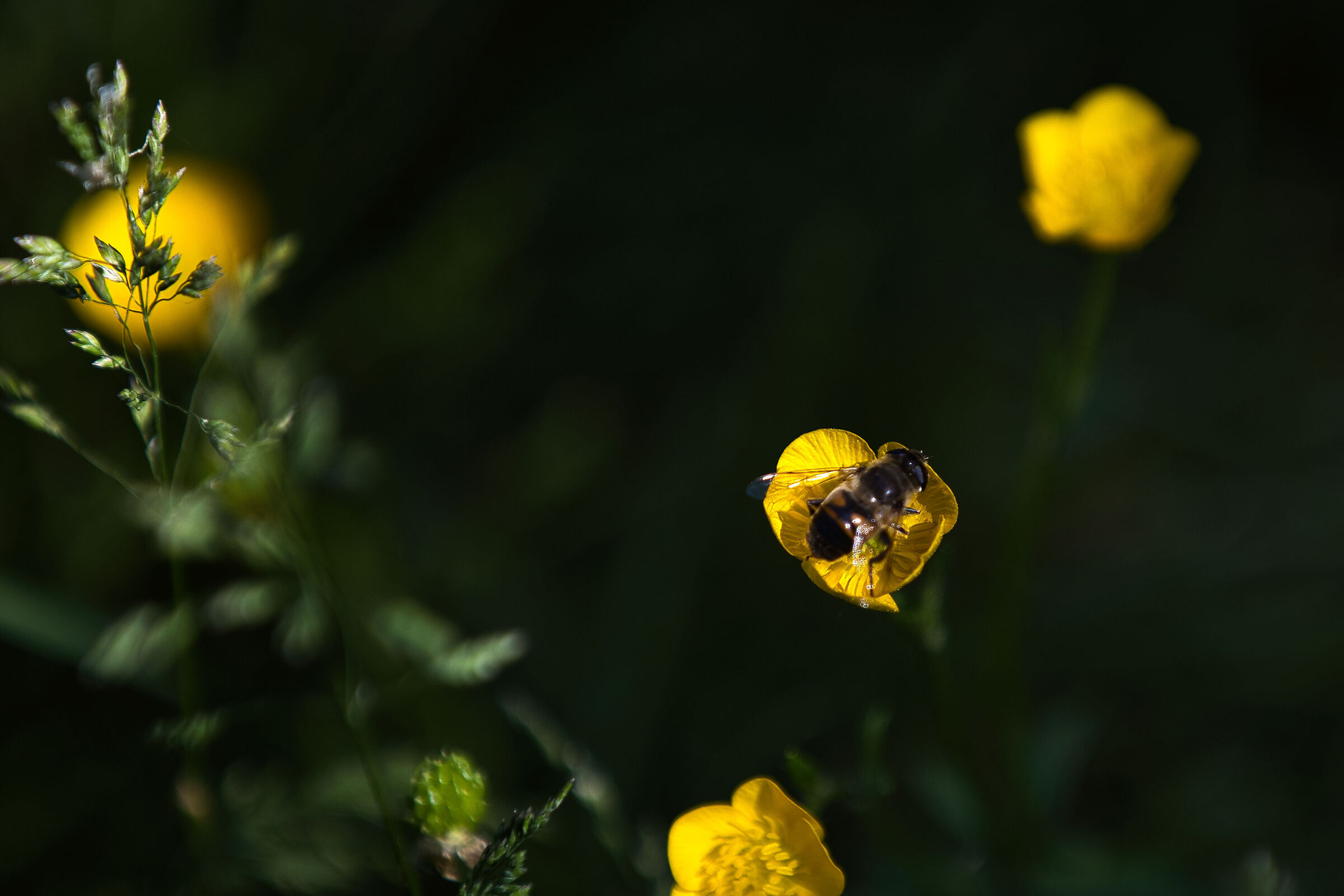 Prima non c'era Test5