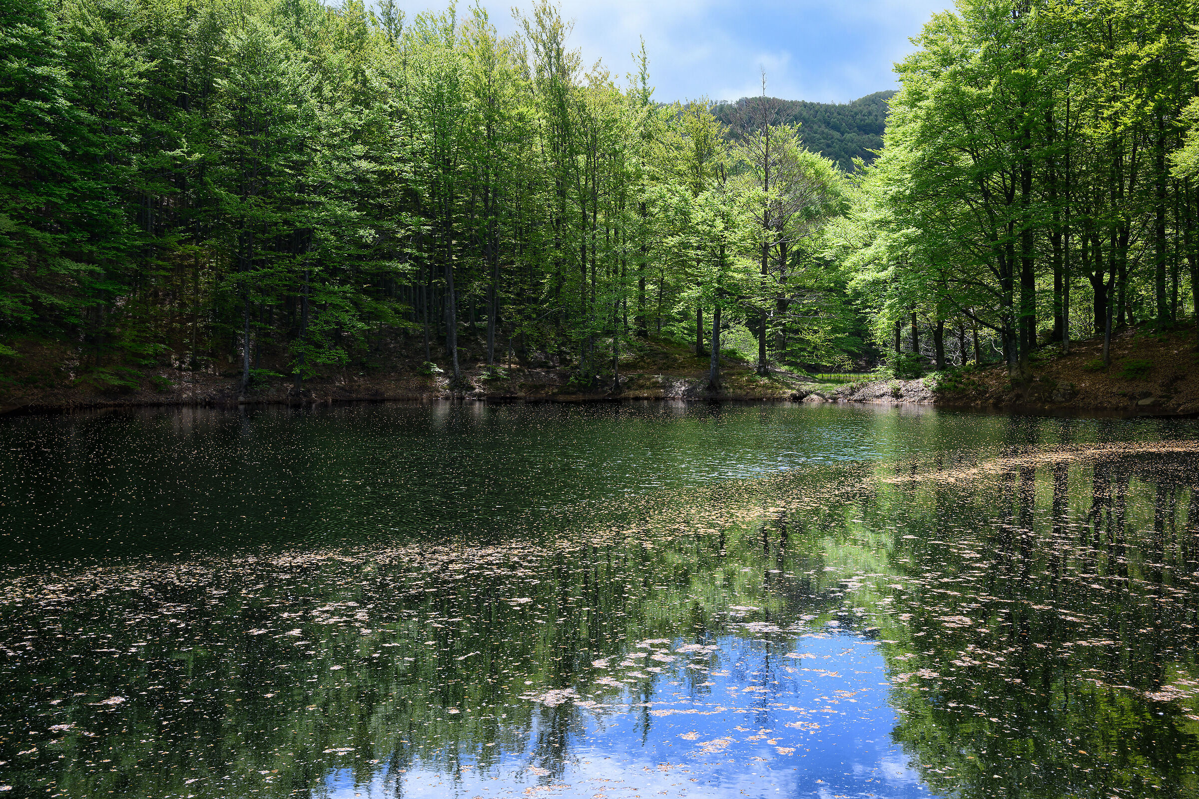 Scie di luce dorata nel lago
