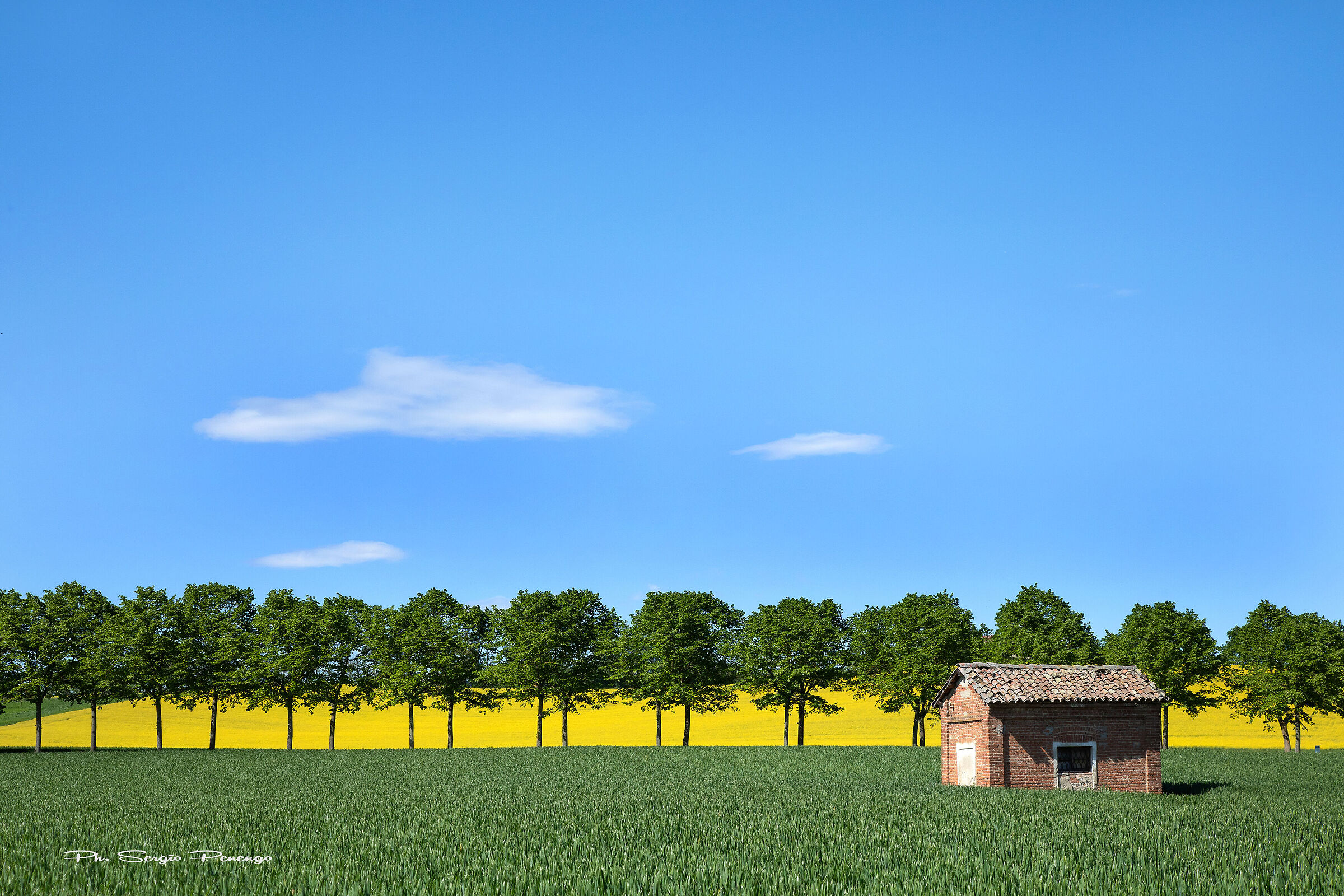 SPRING