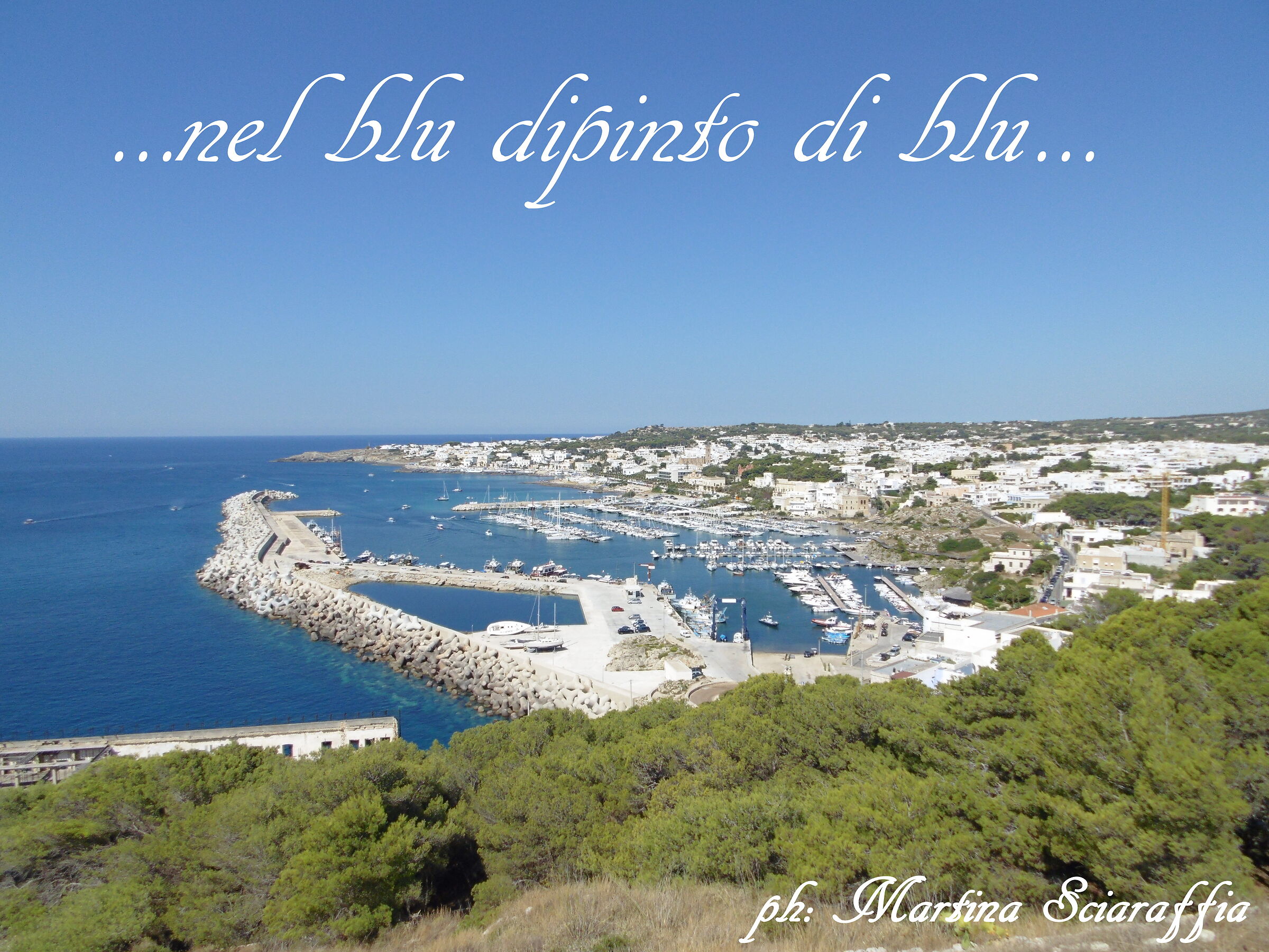 ... in the blue painted blue...