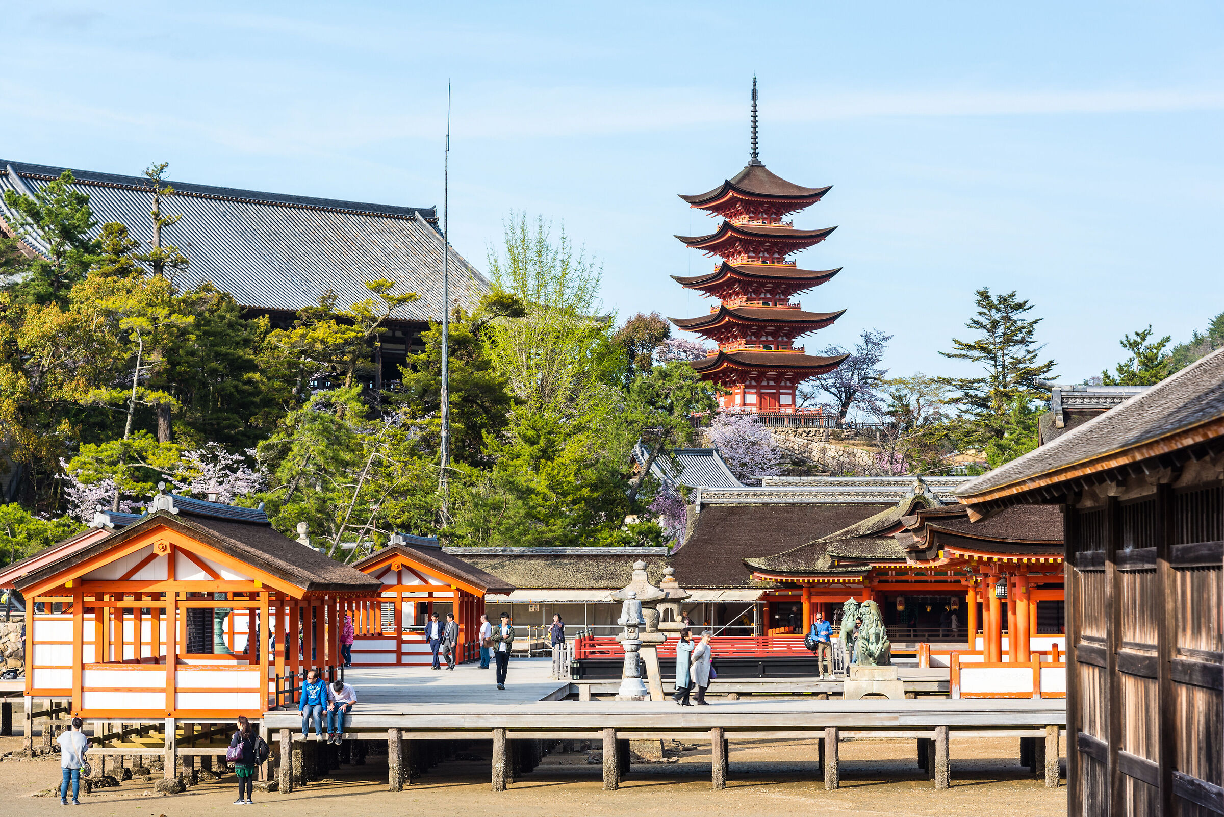 Miyajima Island Itsukushima Shrine