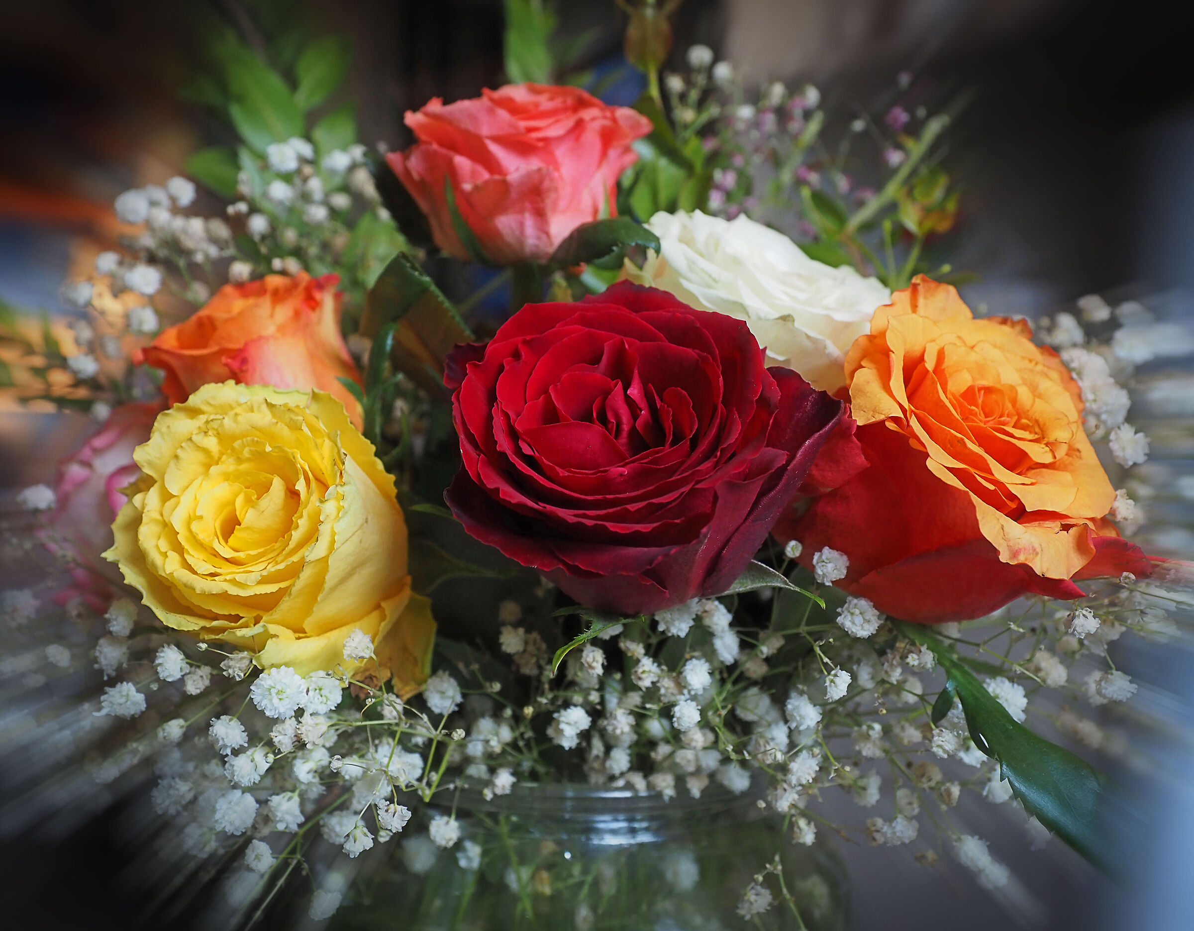 boom.. le rose