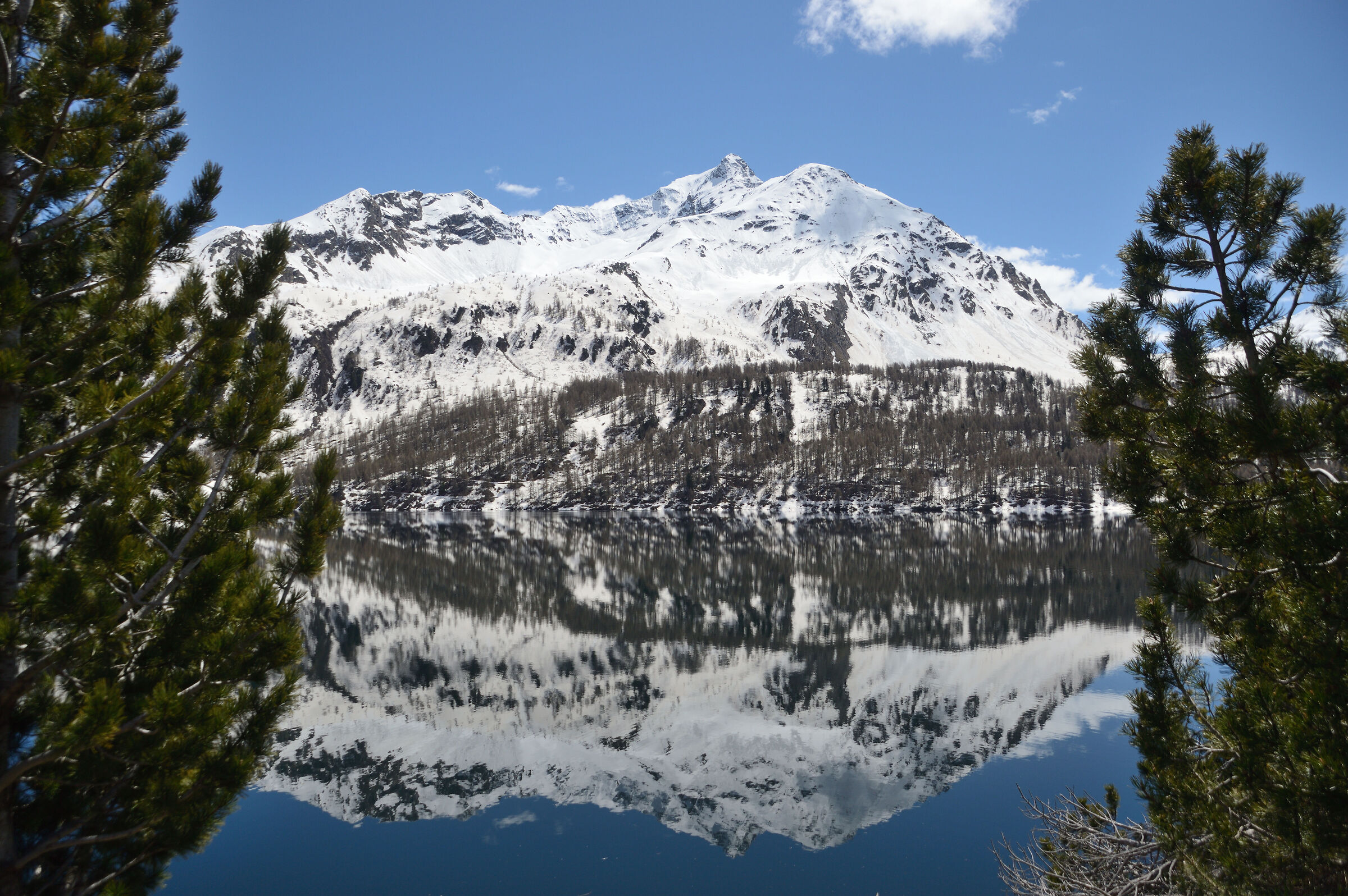 Lake Sils, reflections