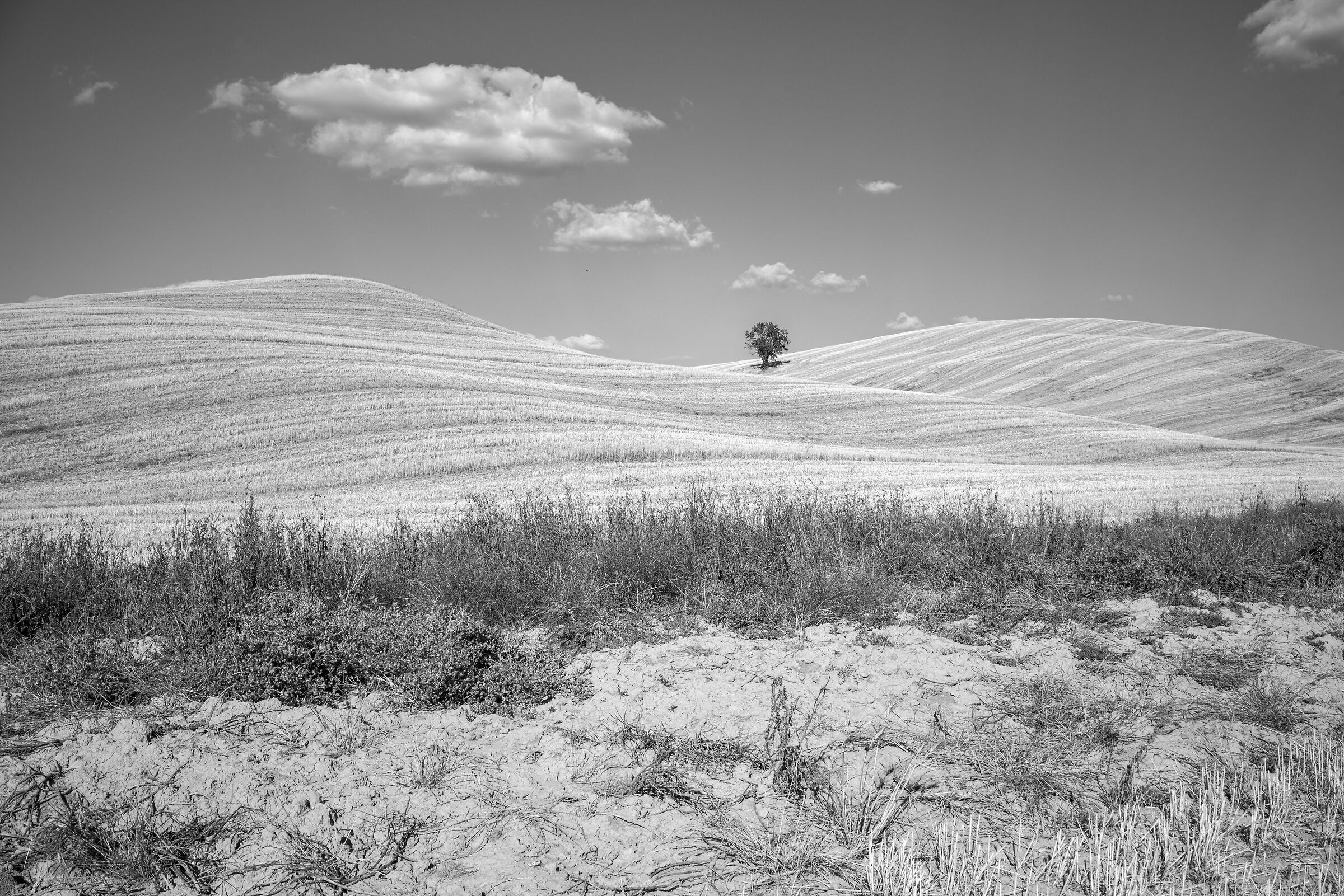 Val d'Orcia