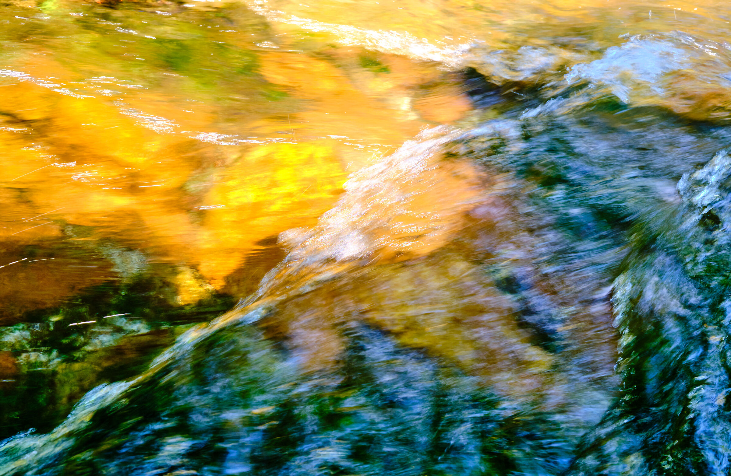 l'impressionismo della natura