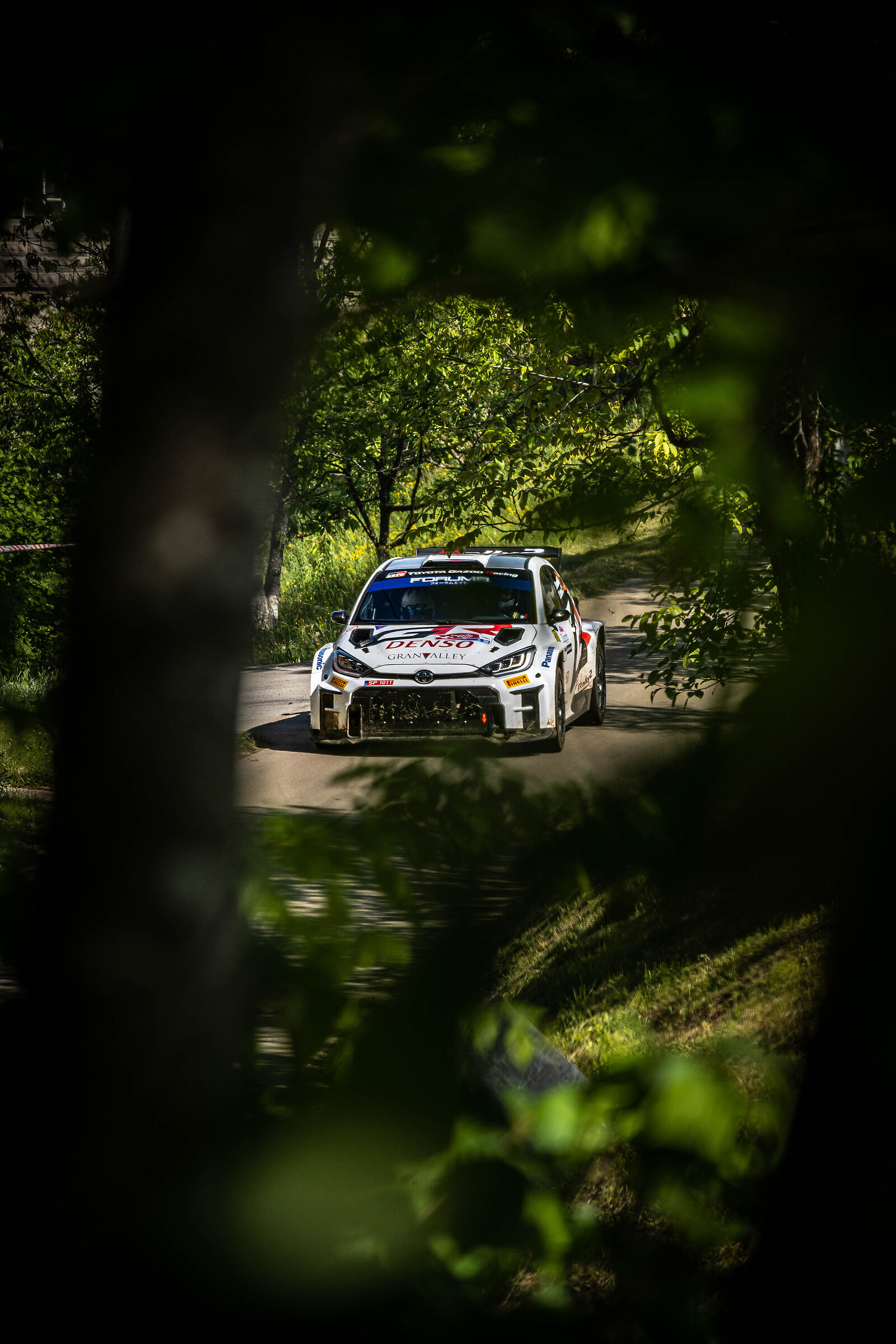 WRC Croatia 2024 - Blink