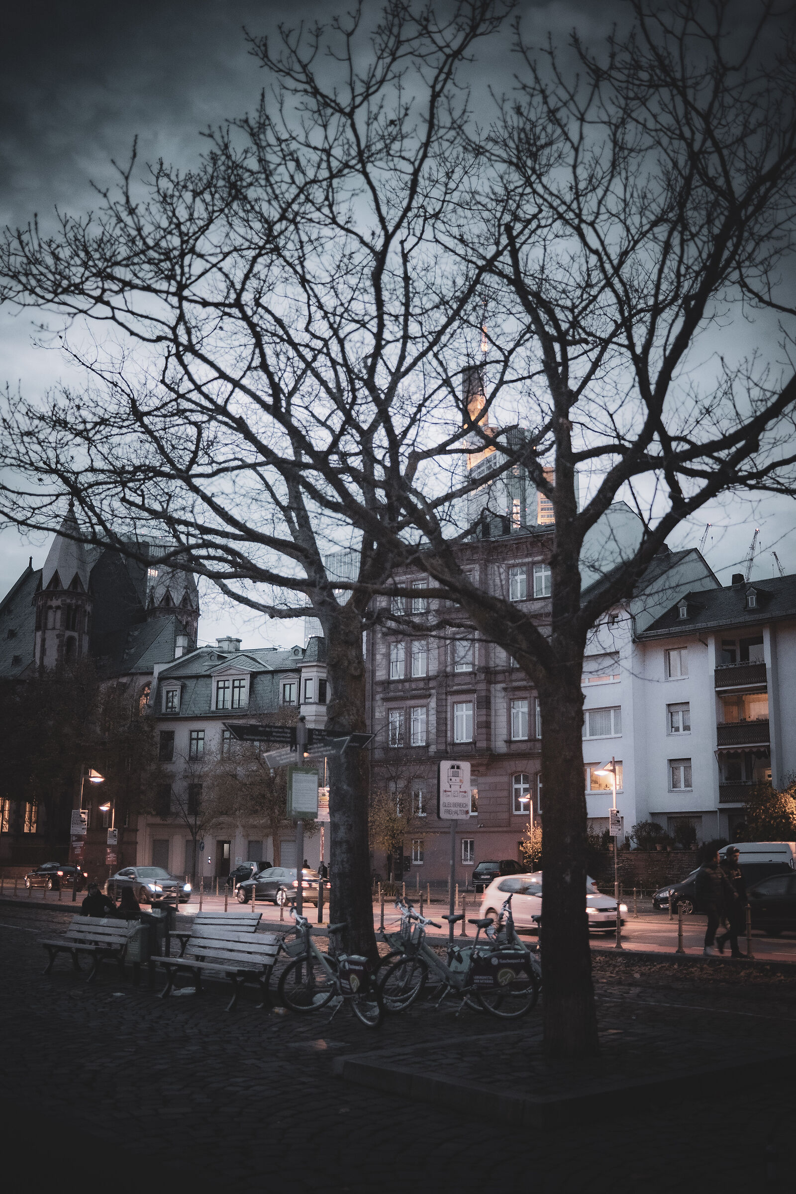 Frankfurt lungo fiume