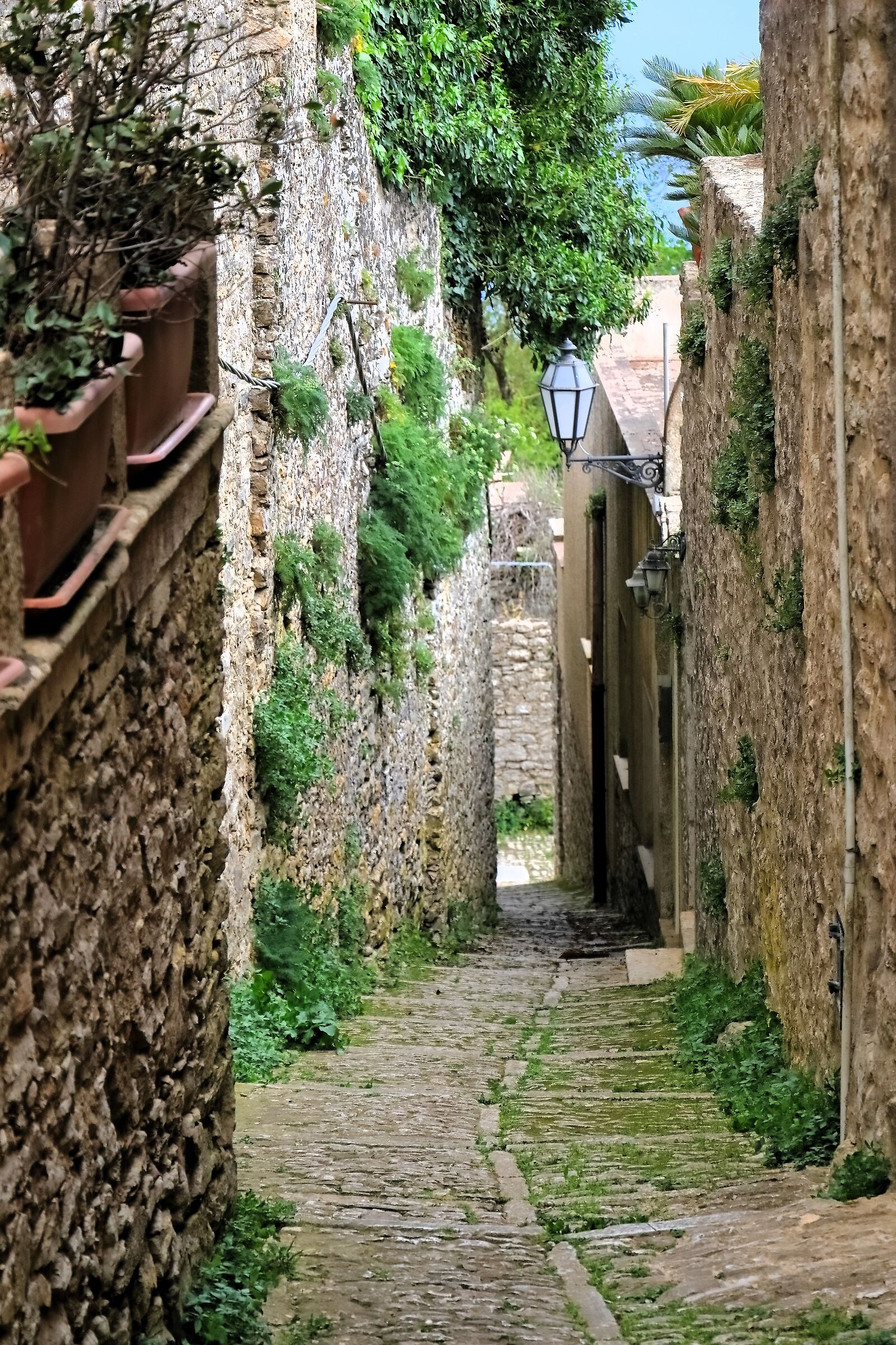 Erice 17-04-2024 - 0456