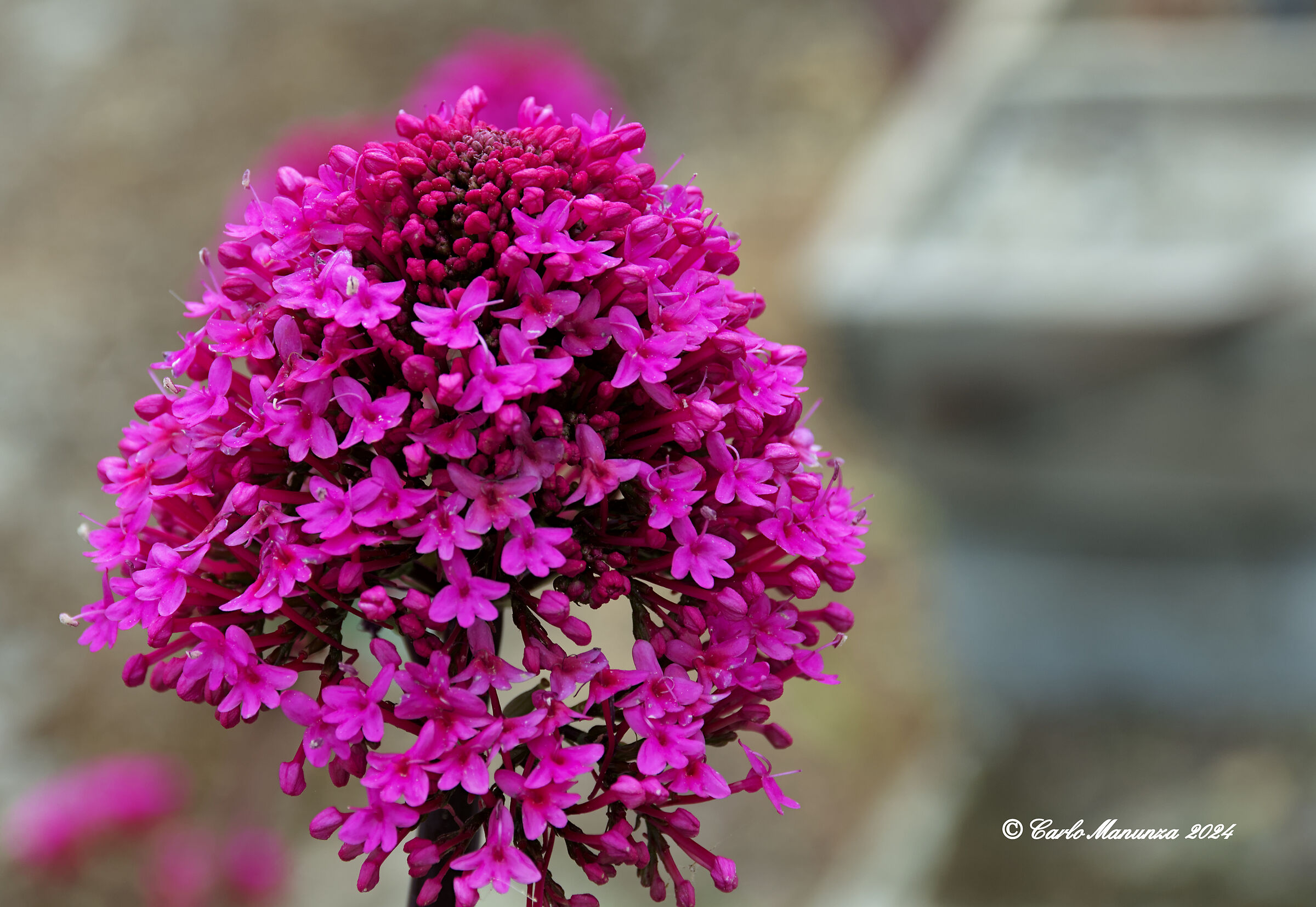 Untitled Photo