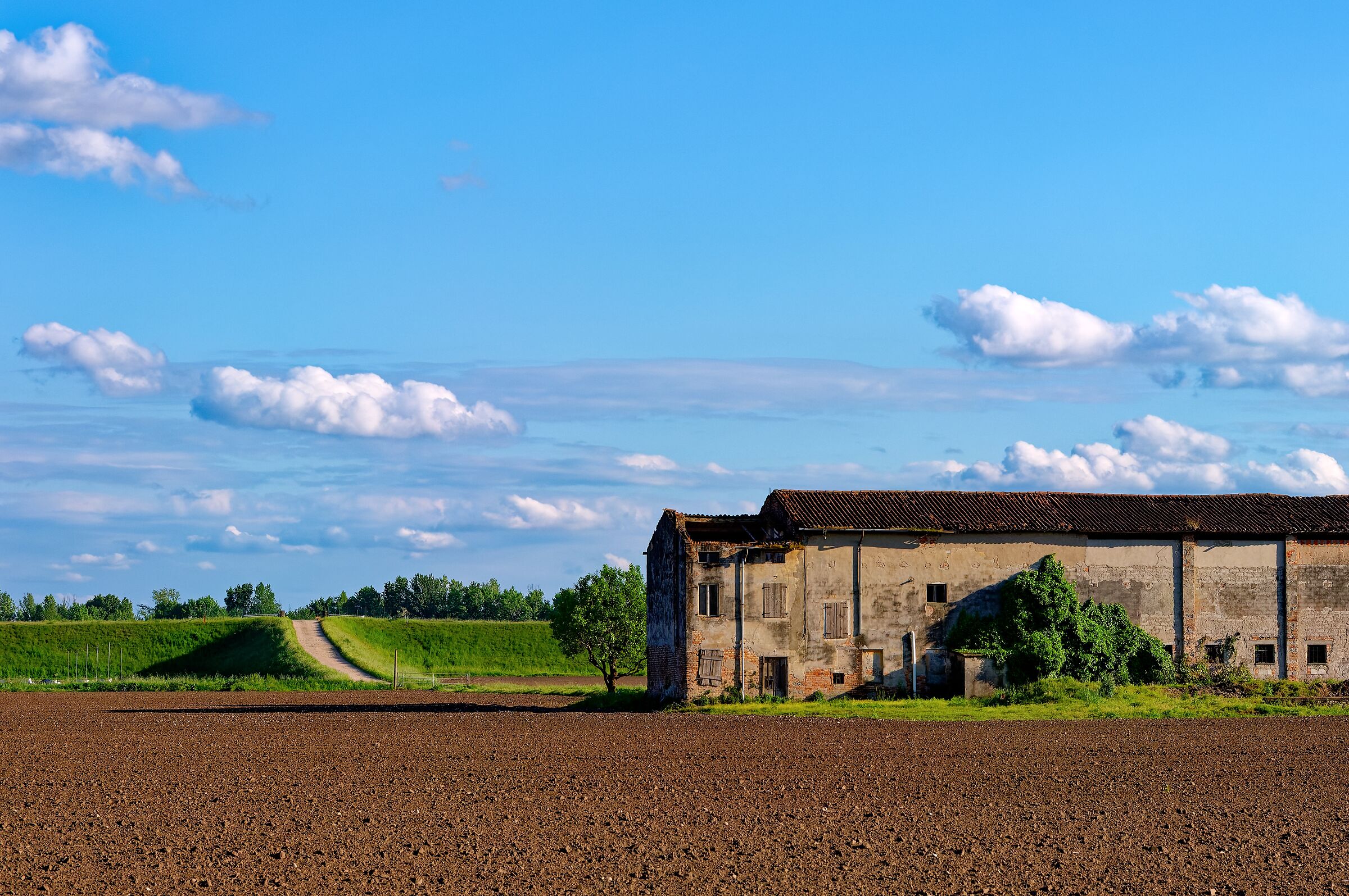 Campagna Veronese 2 - Primavera 24