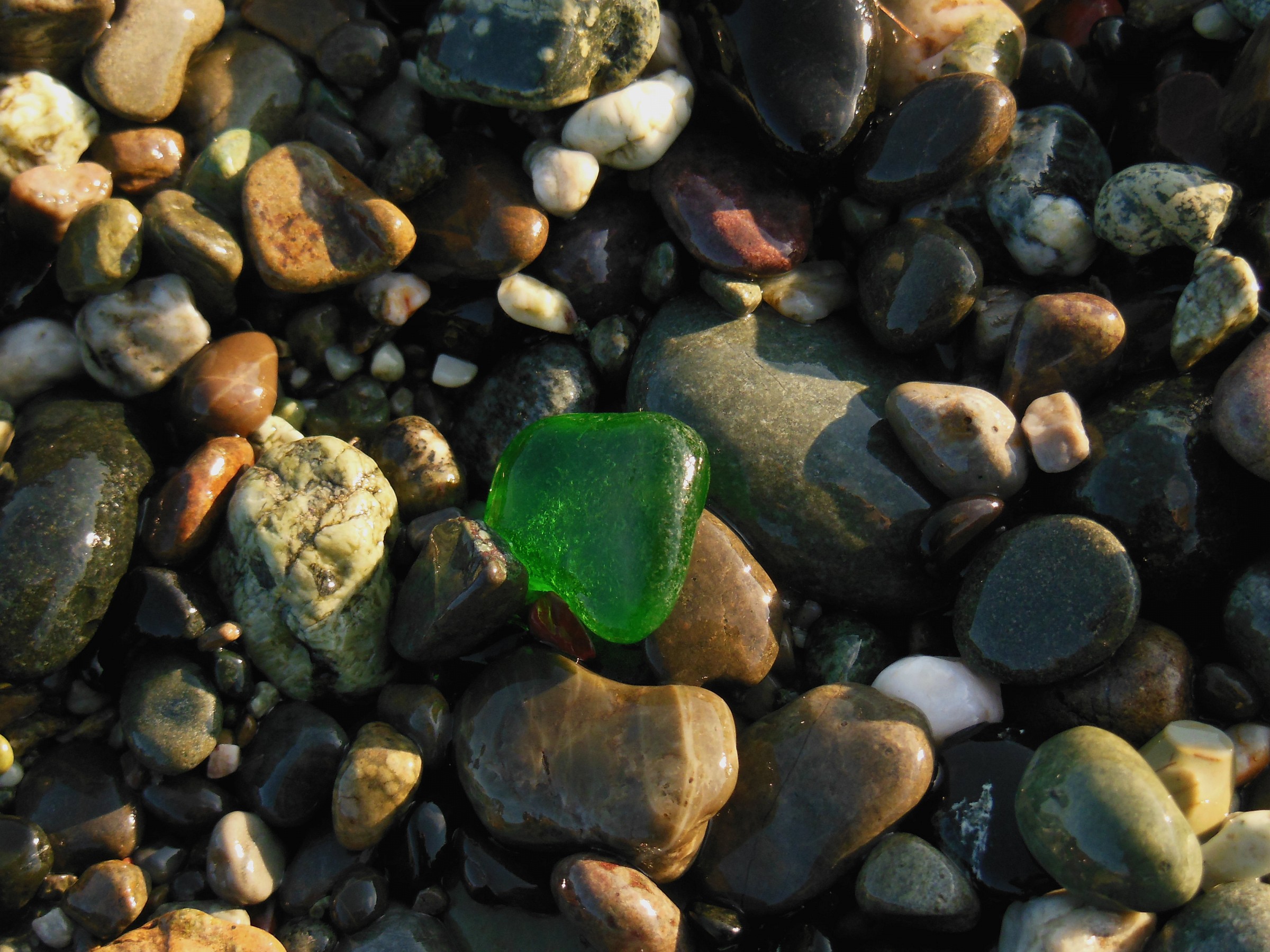 c'è sempre chi si differenzia :)