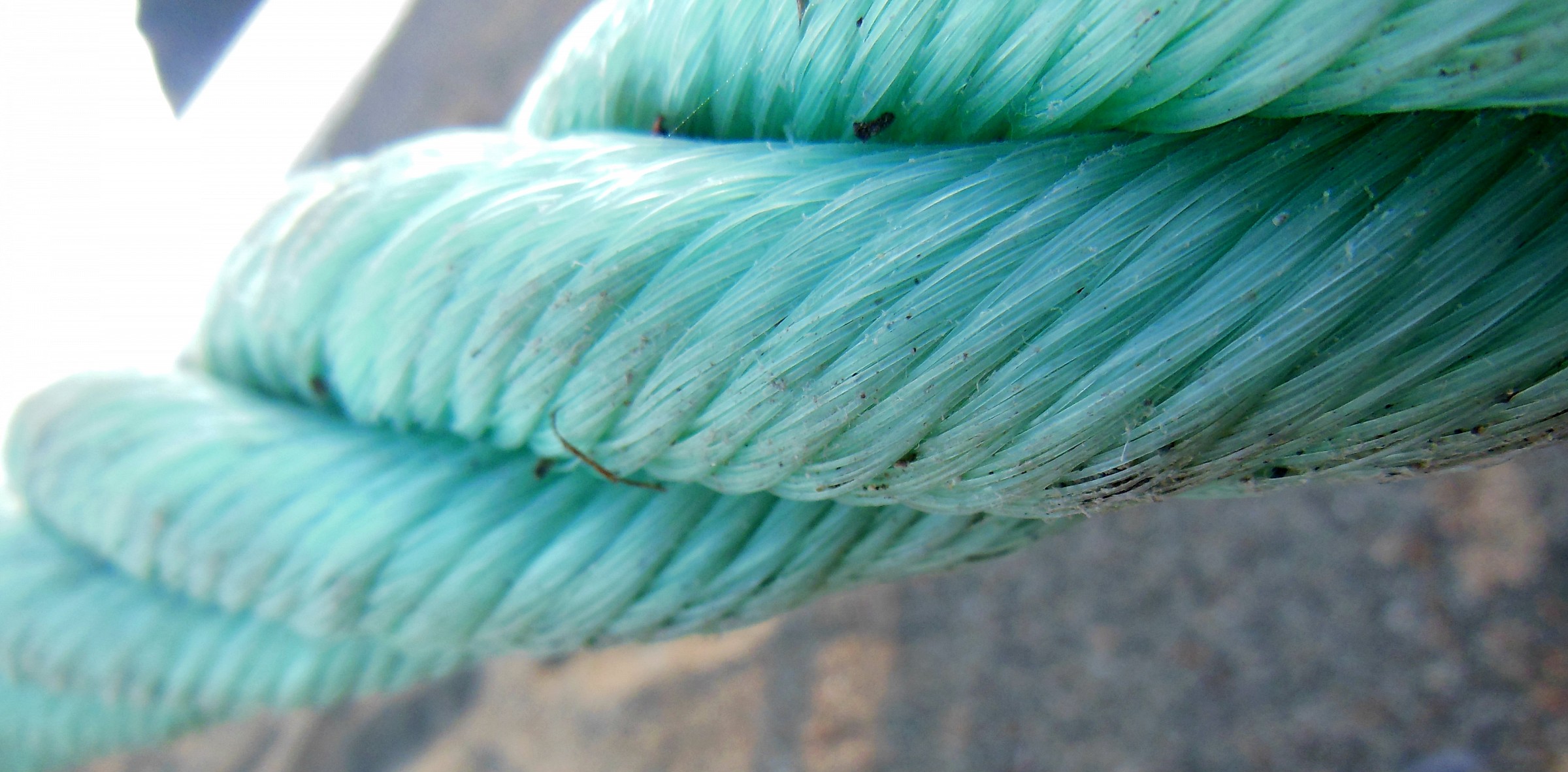 ciò che tiene unito..