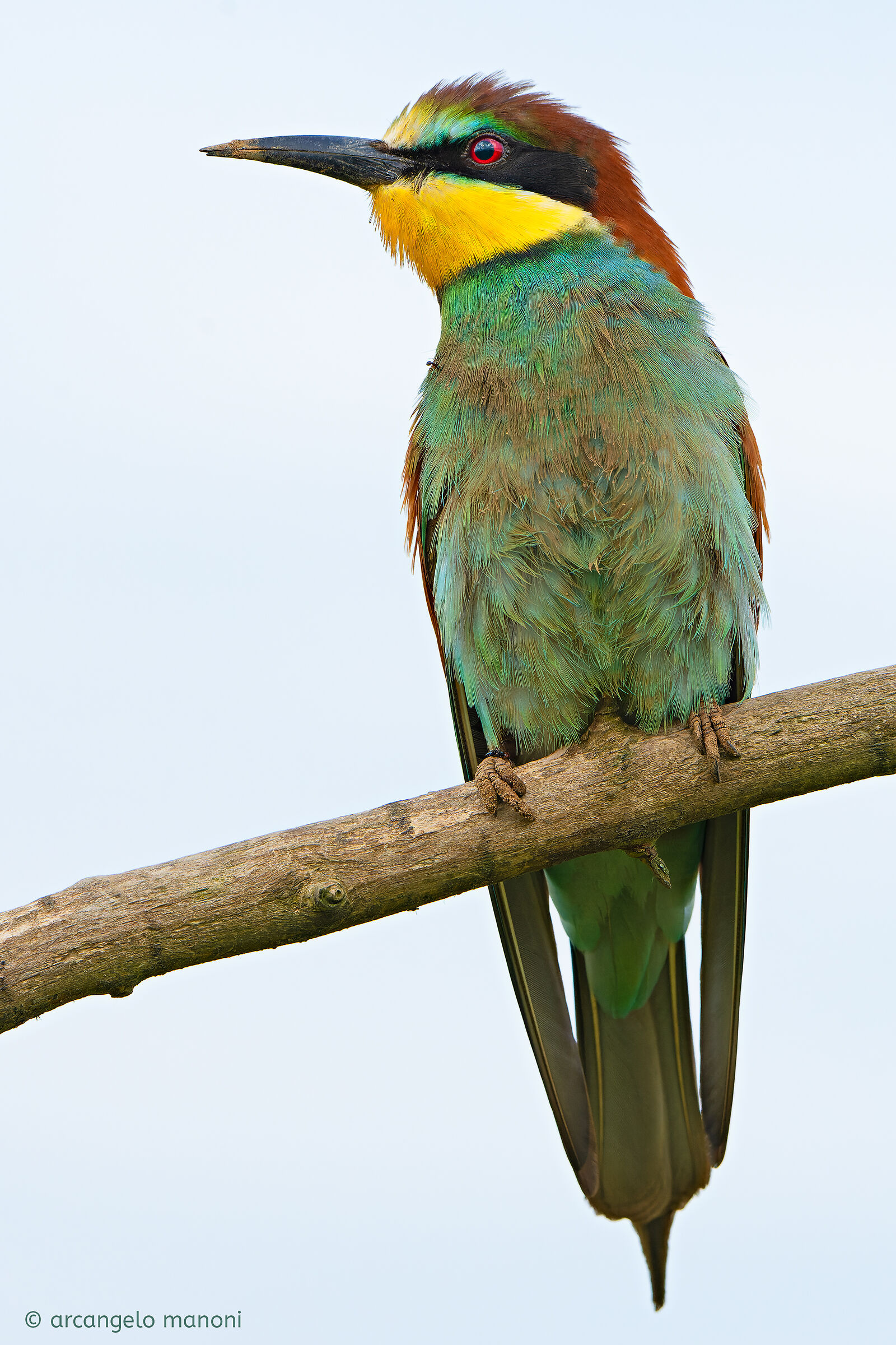 I segni del duro lavoro