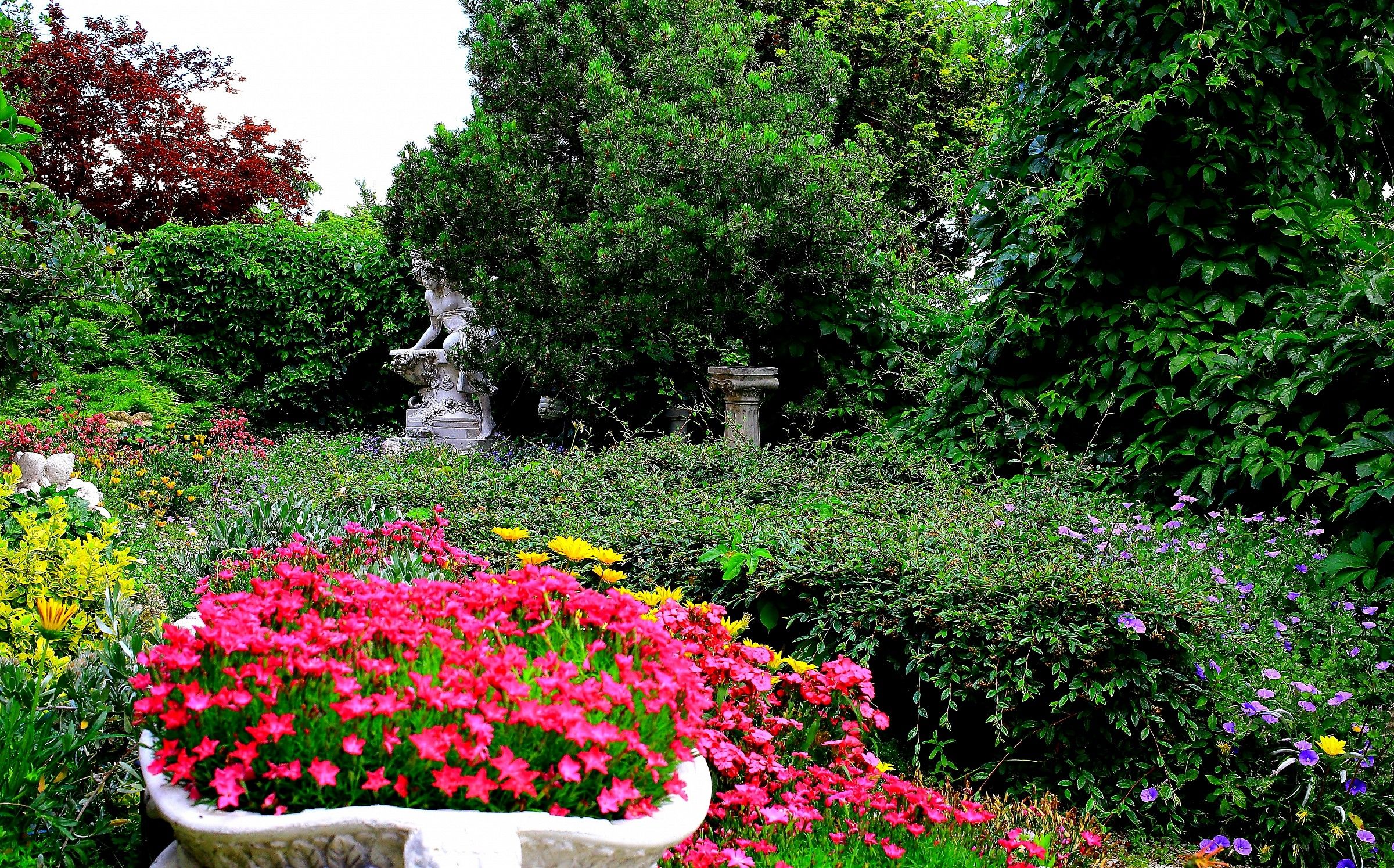 Angolo del mio giardino.