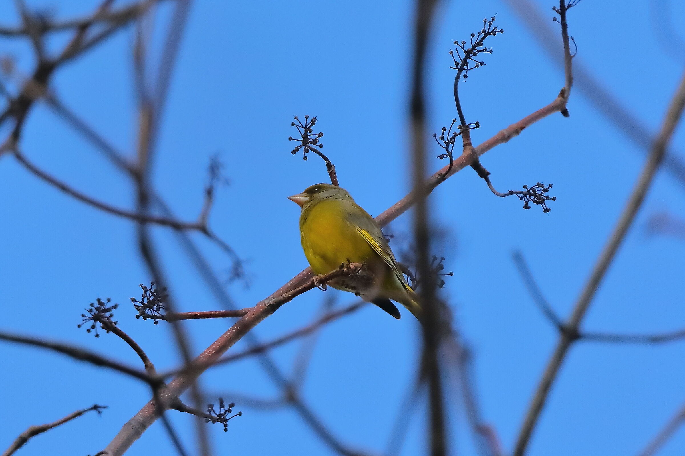 He 04 March 2024 - 0141