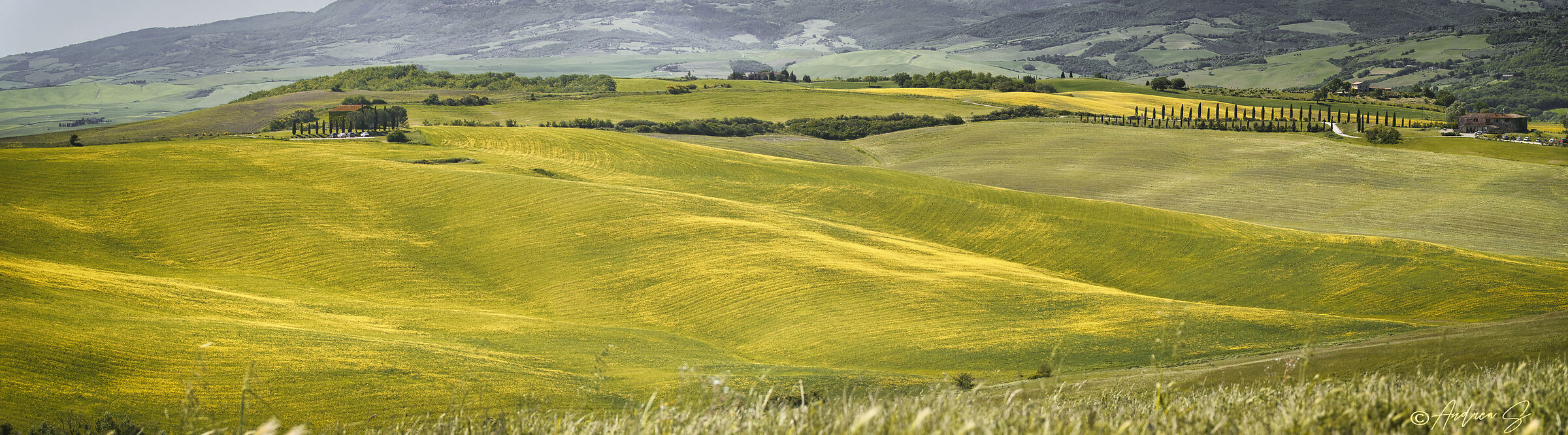 Val D'Orcia Landscape