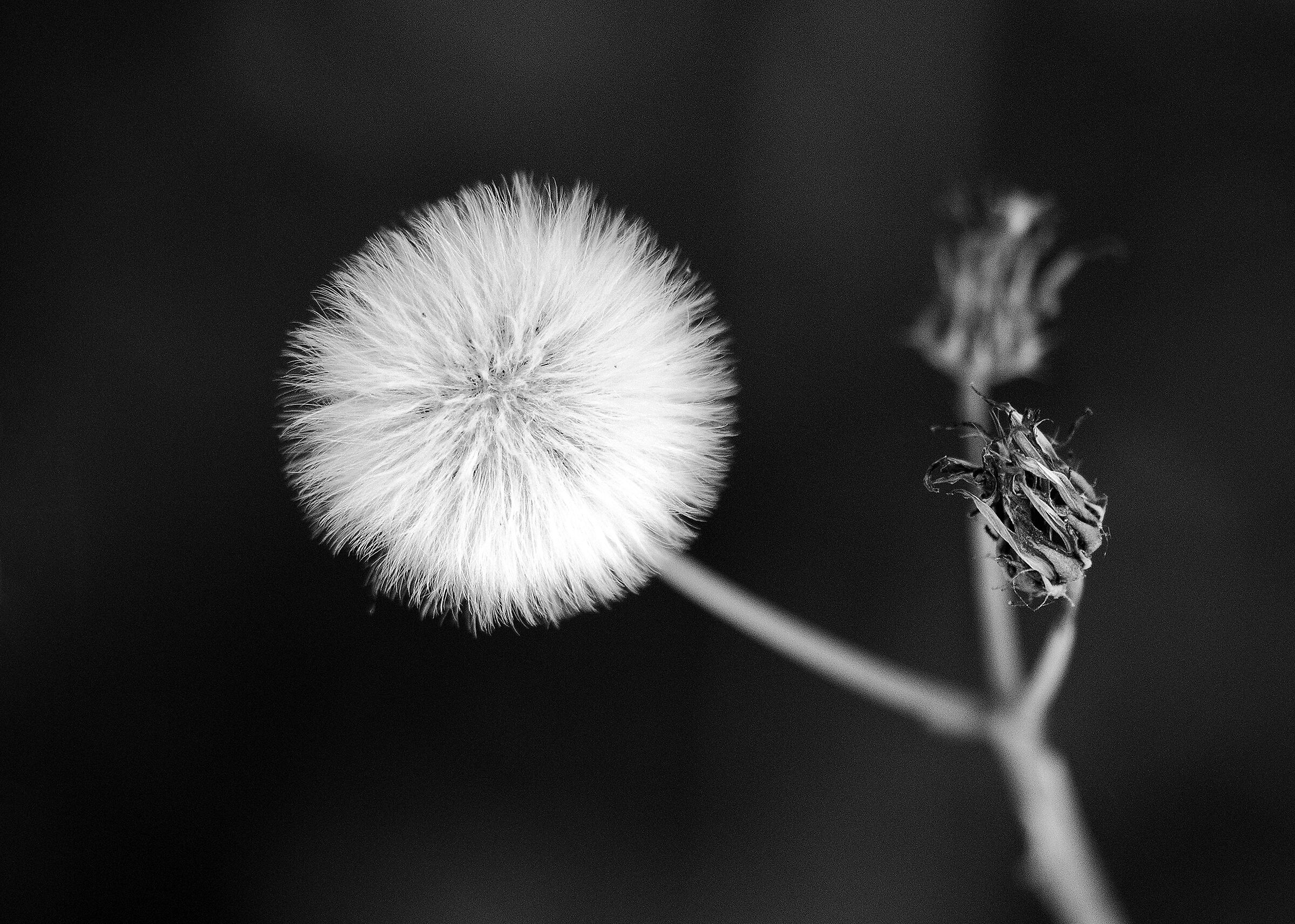 Forme semplici-10 (4 foto)