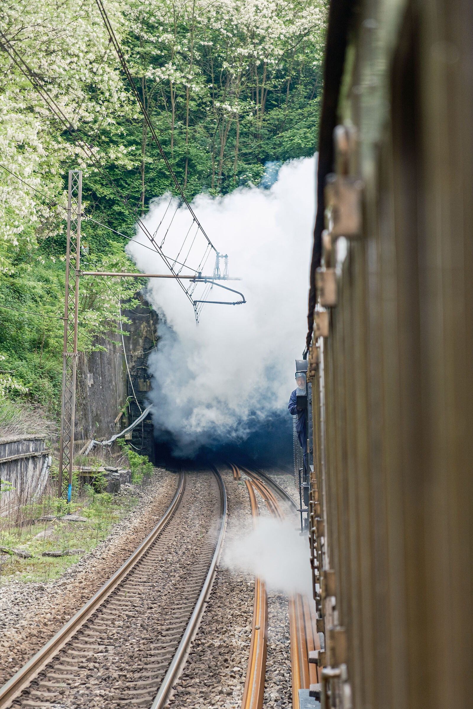 Out of the Tunnel - Historic Train