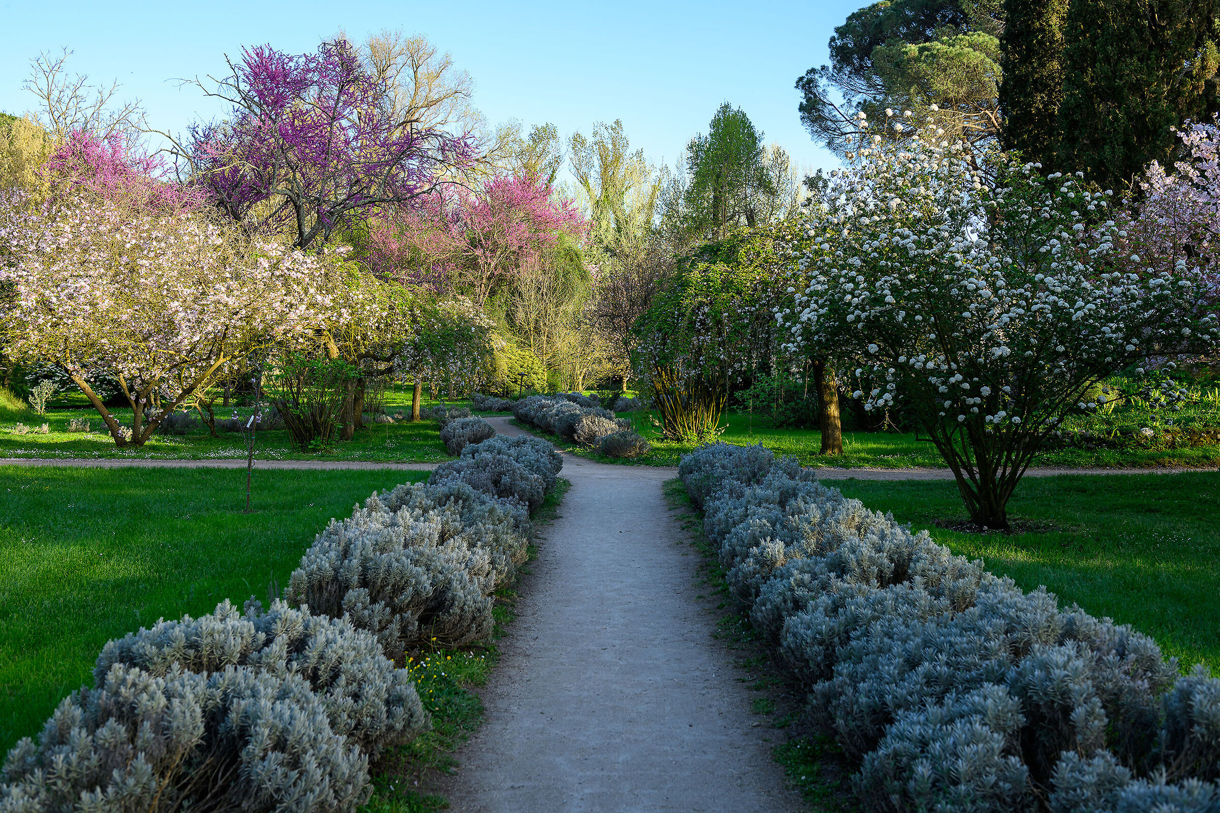 Garden of Ninfa