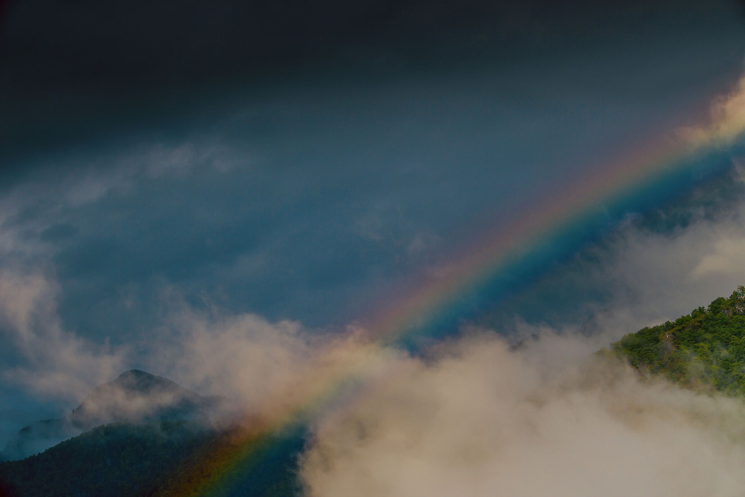 Mountain Rainbow