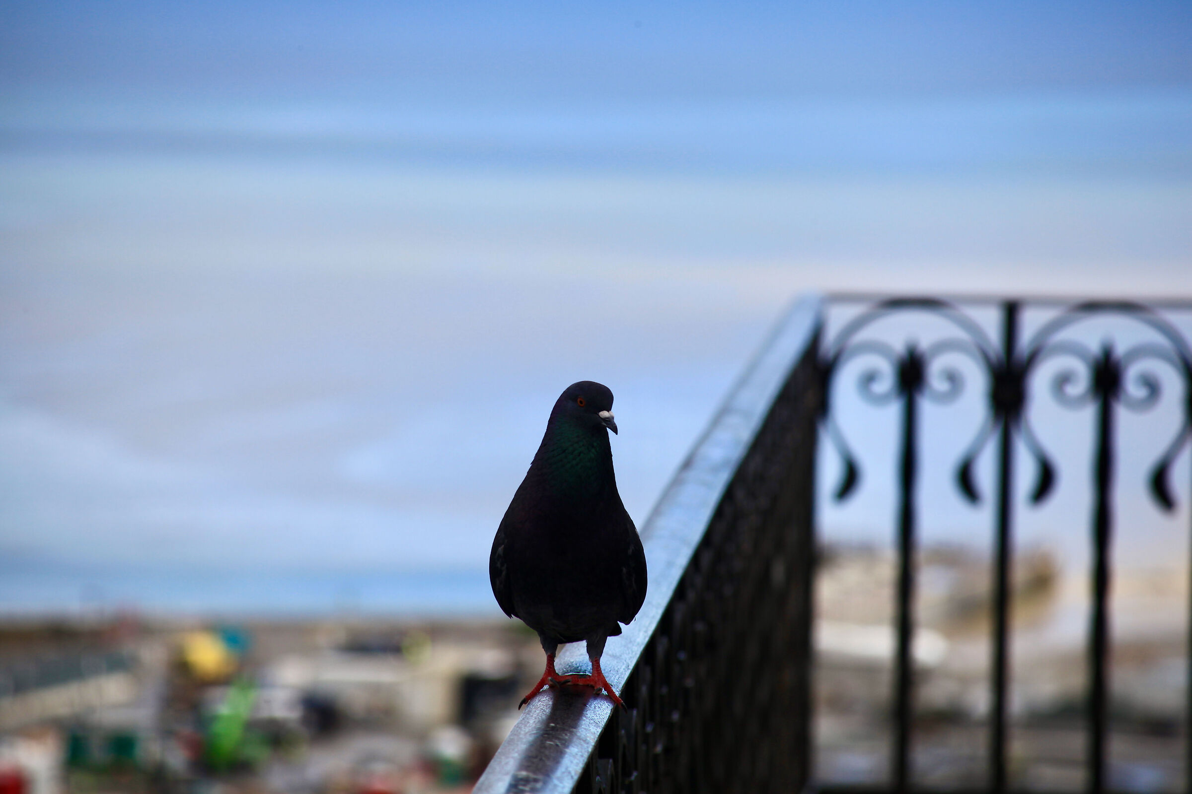 Handrail