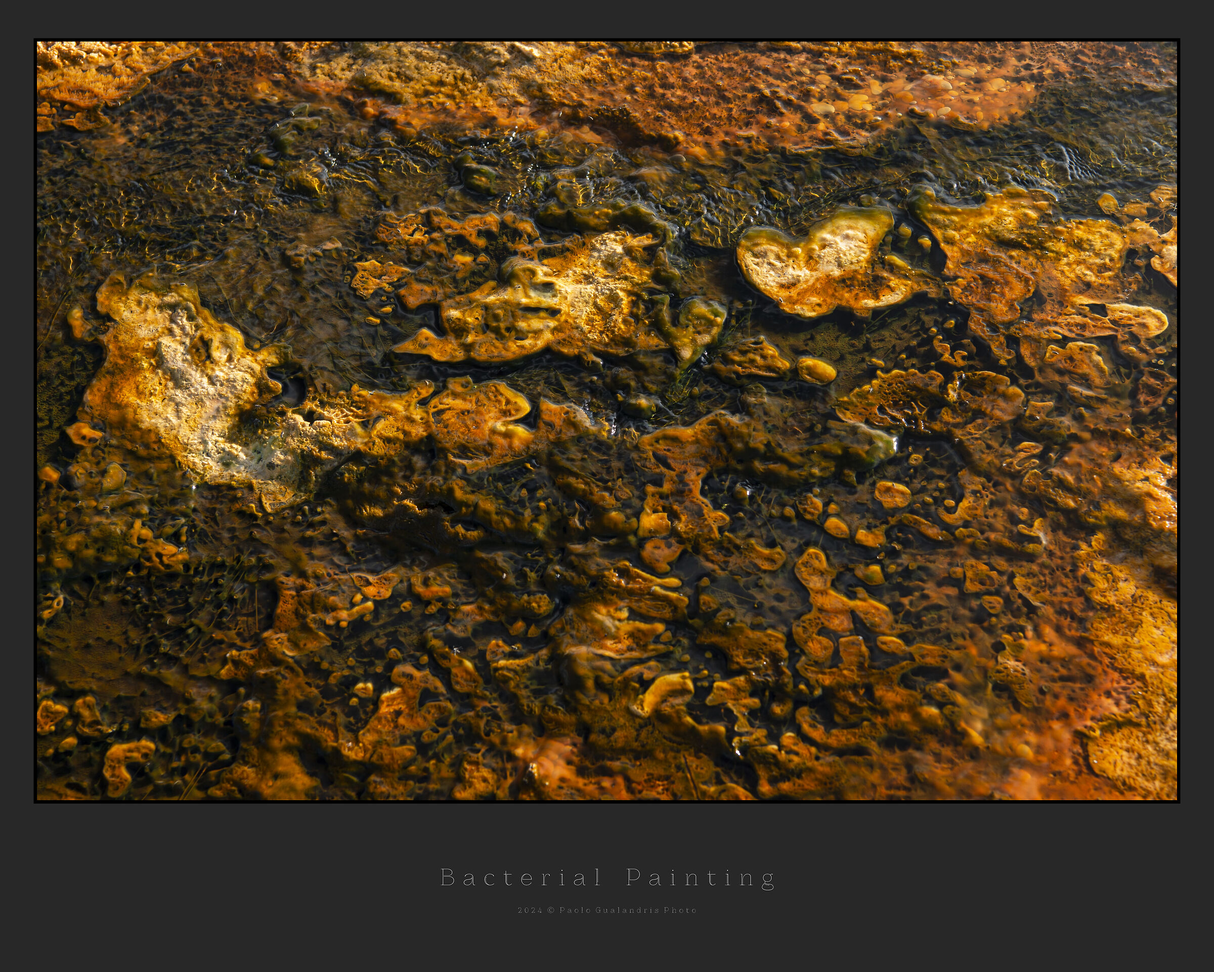 Bacterial Painting
