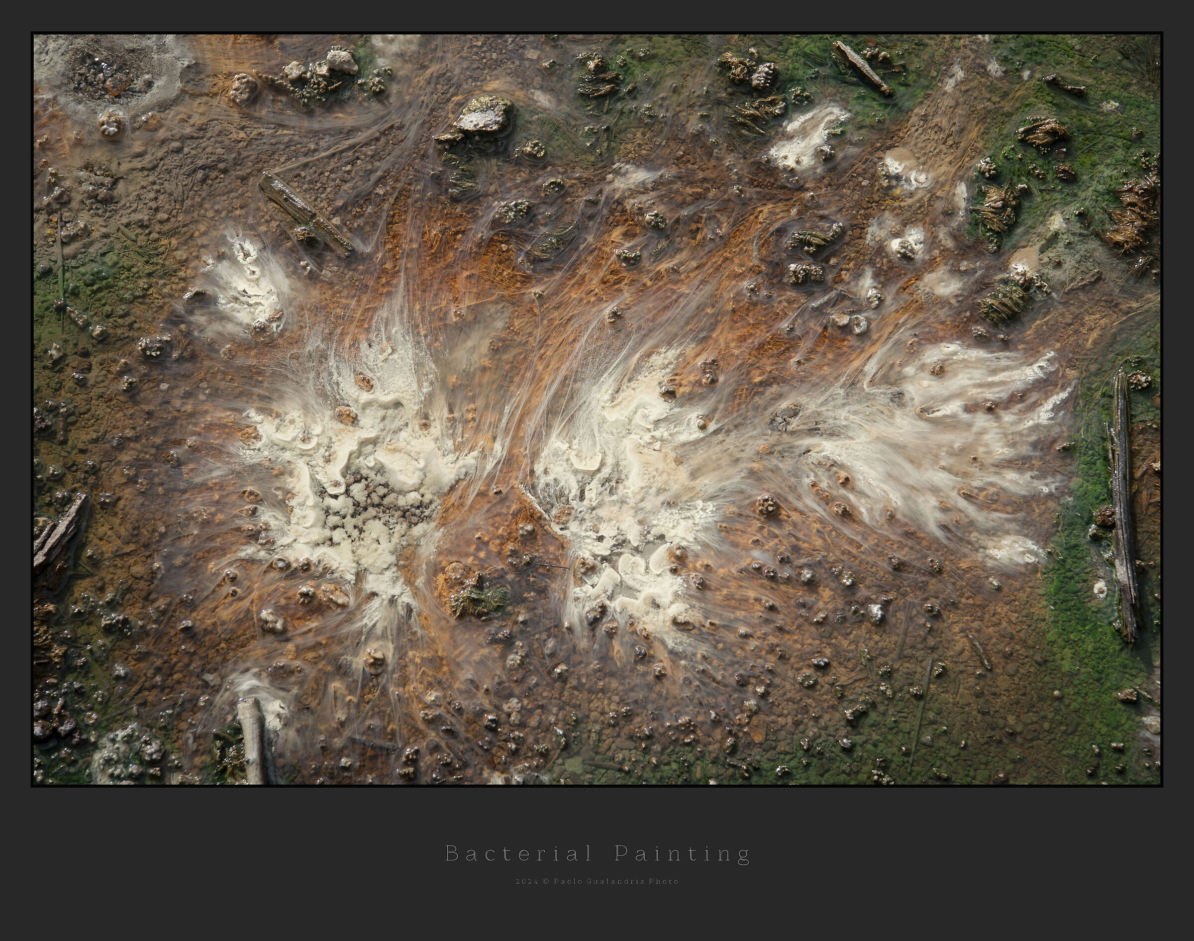 Bacterial Painting