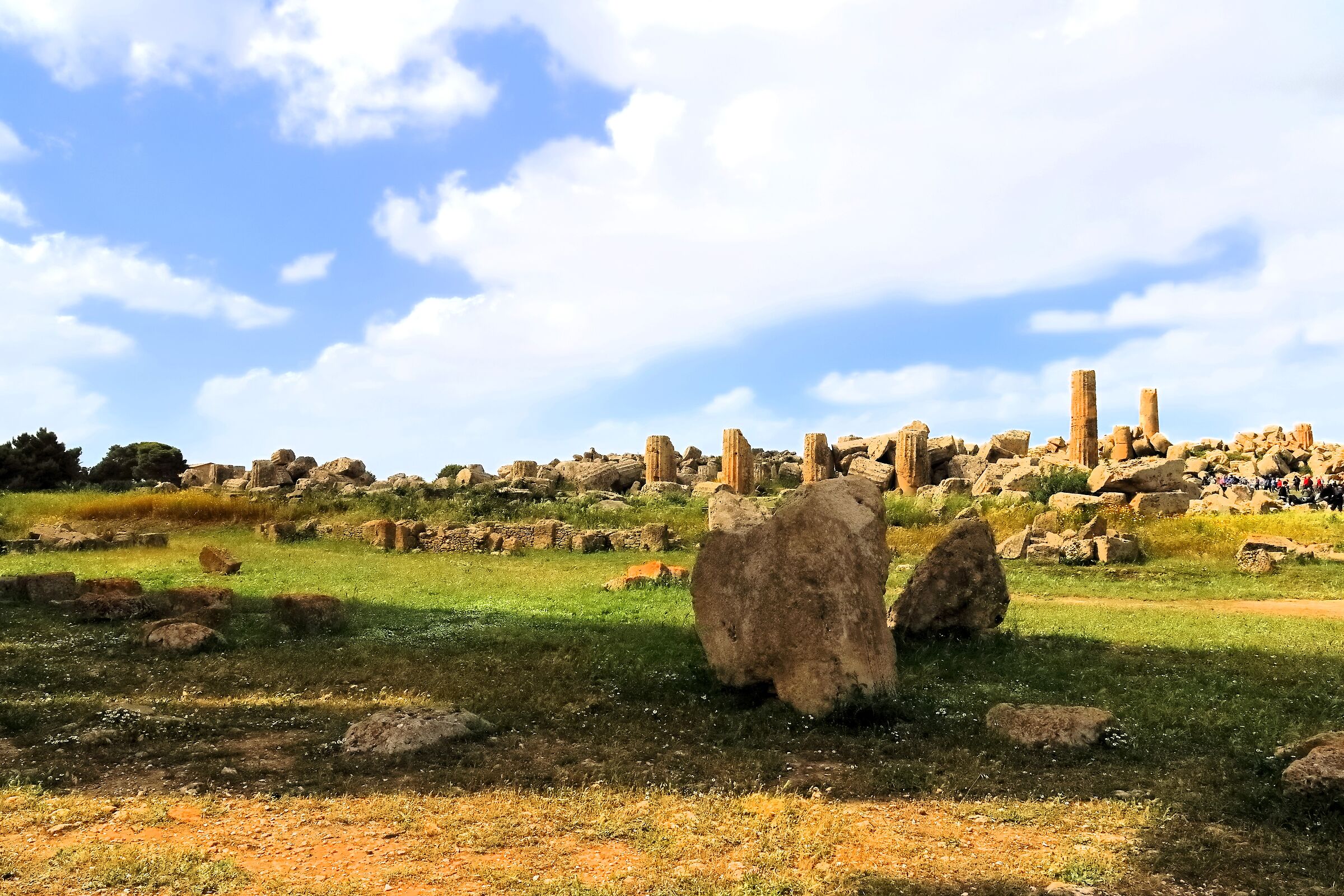 Archaeological Park of Selinunte 17-04-2024 - 0470