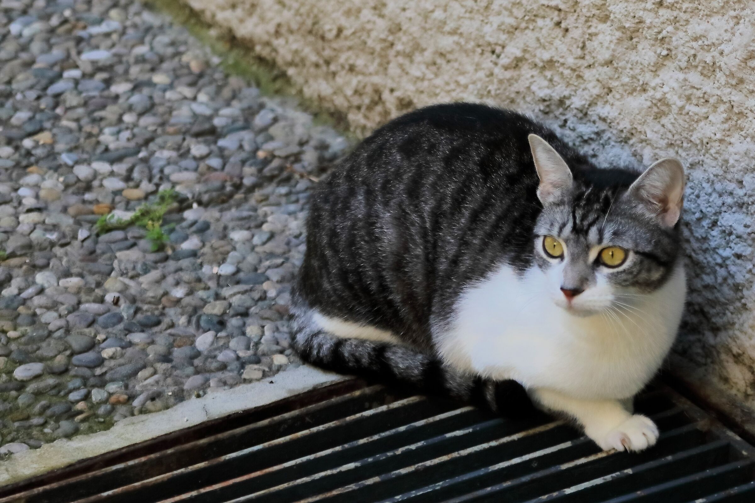 Kira 11-03-2024 - 0048