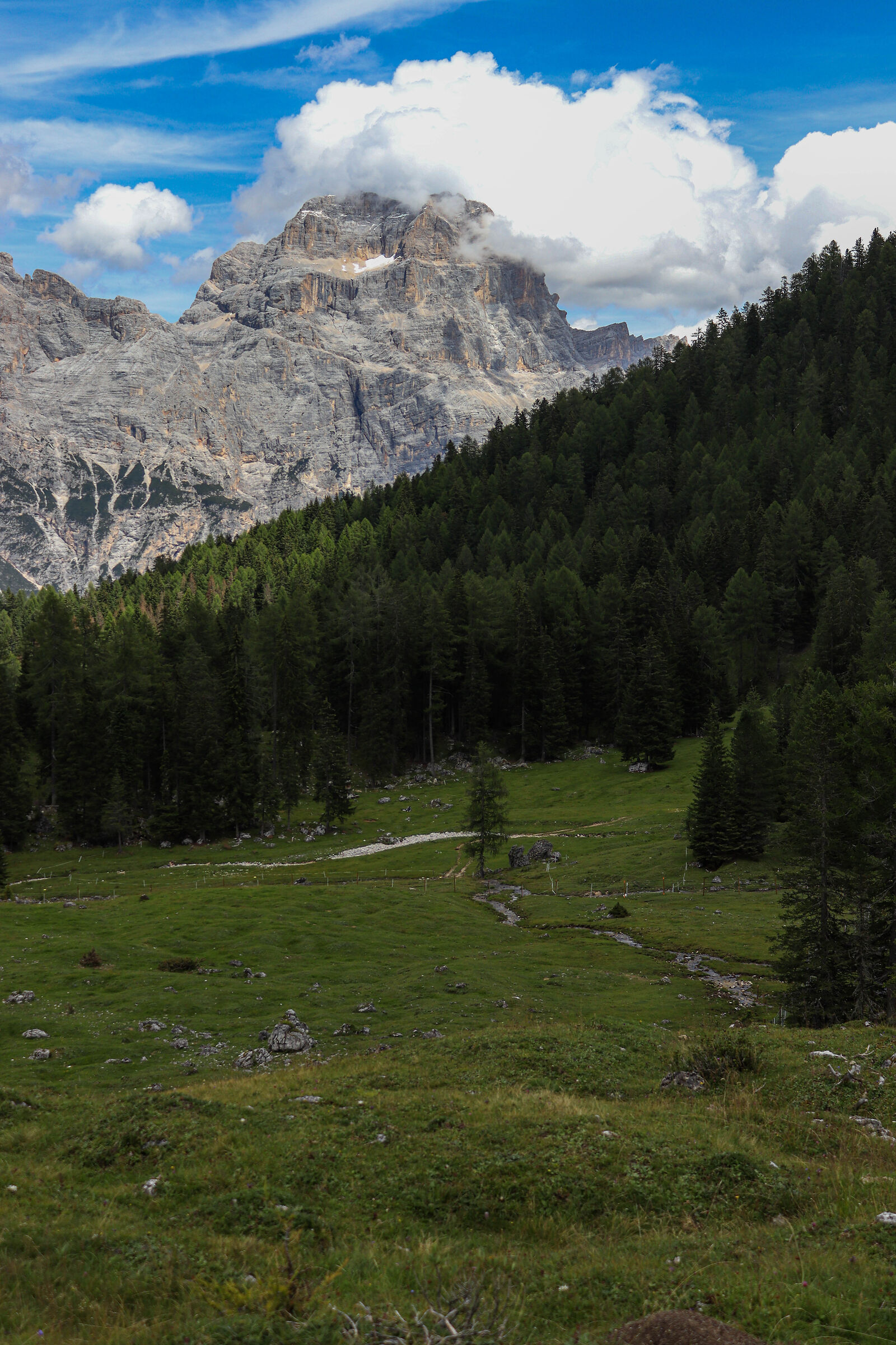 Untitled Photo