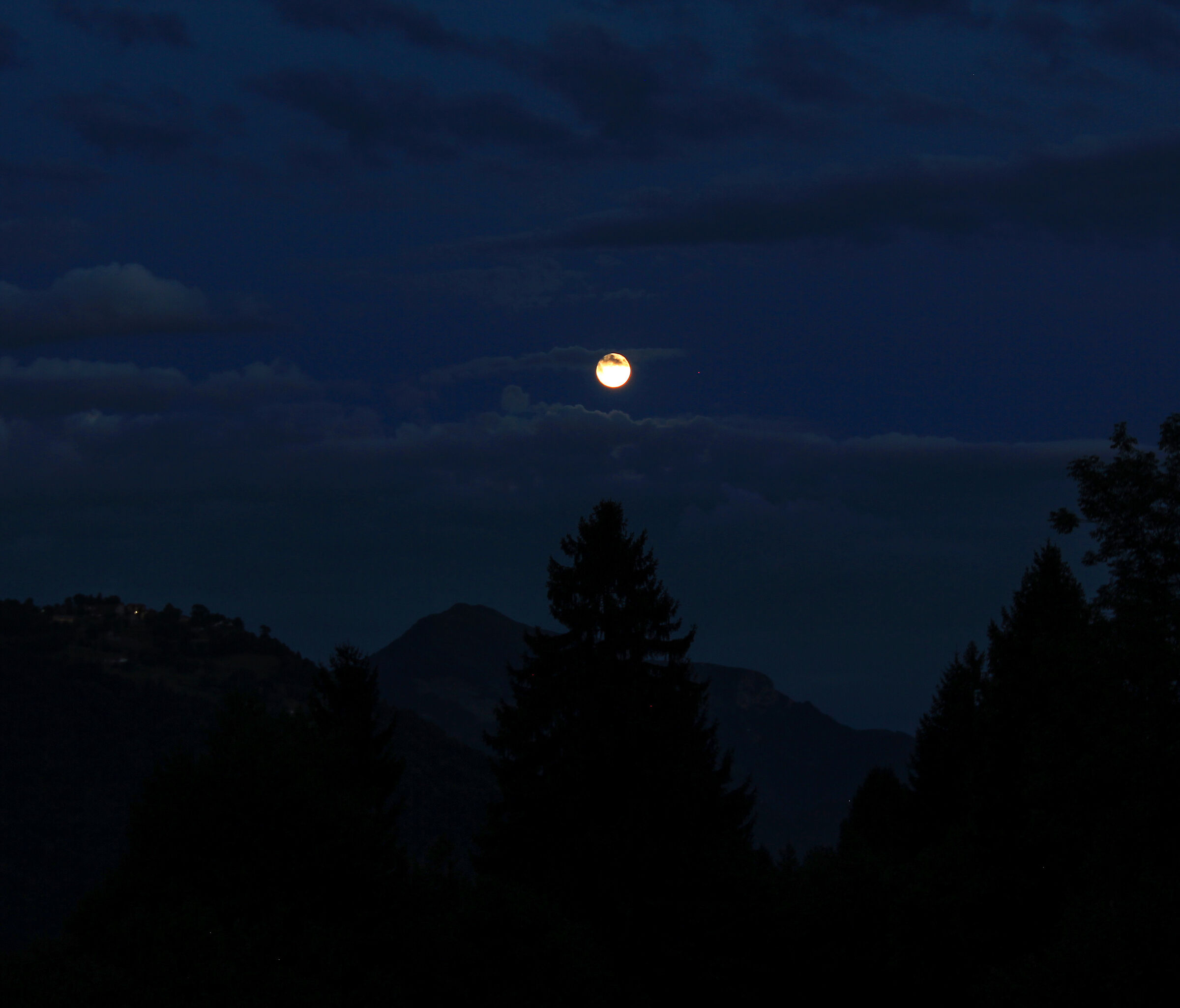 Untitled Photo