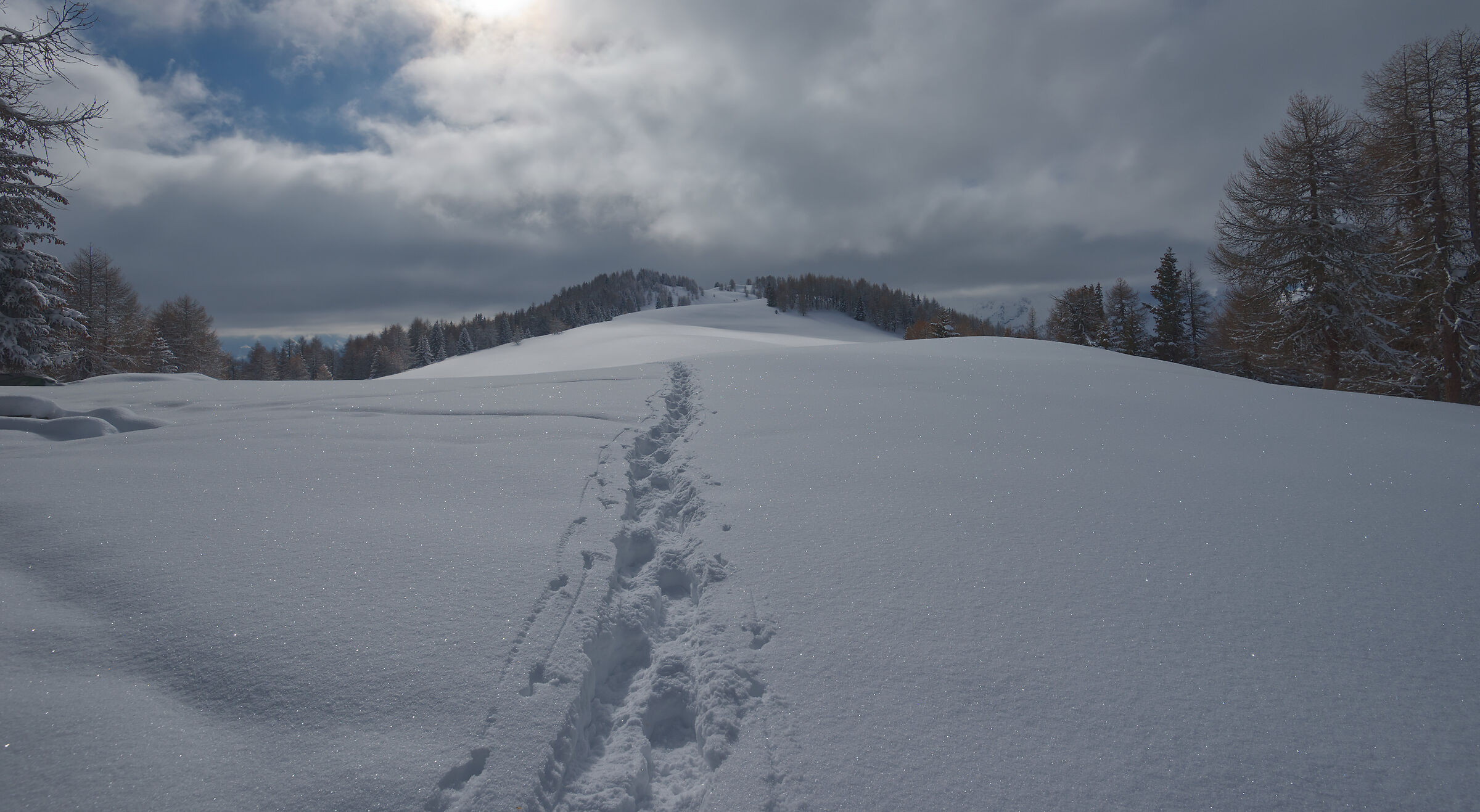 Aosta Valley February 2017
